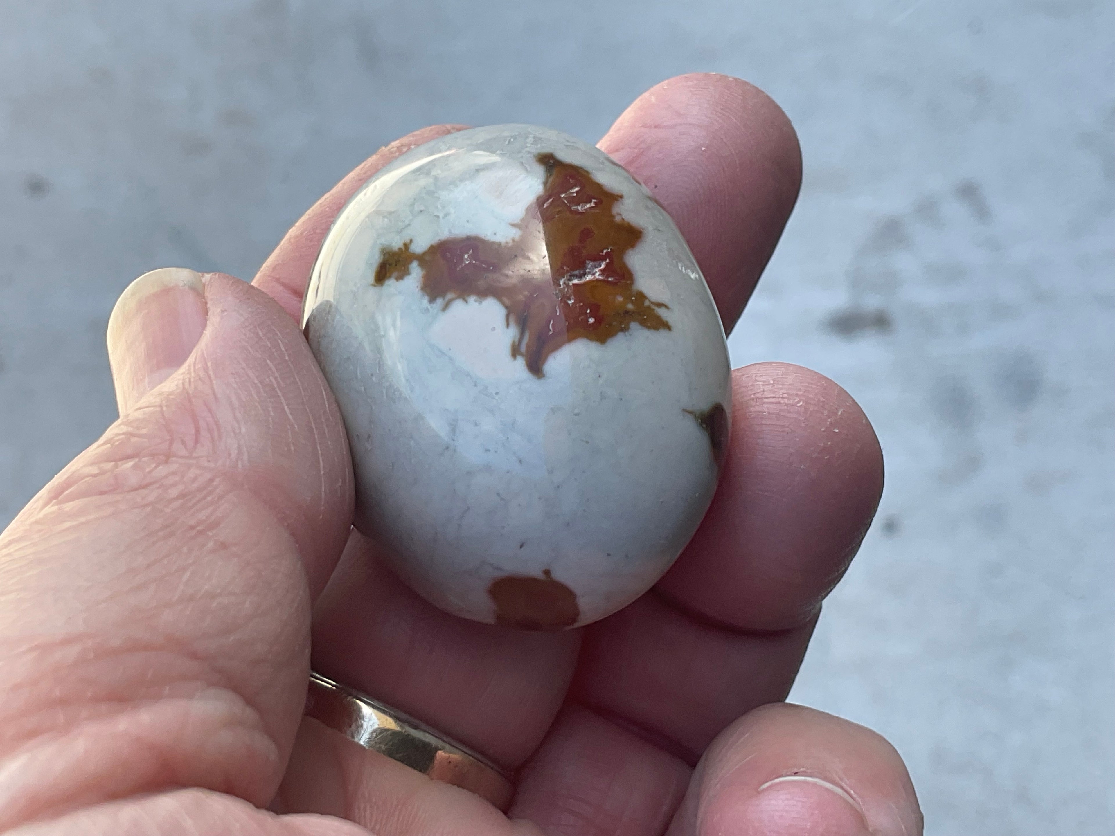 47g Polychrome Jasper Palmstone 2D