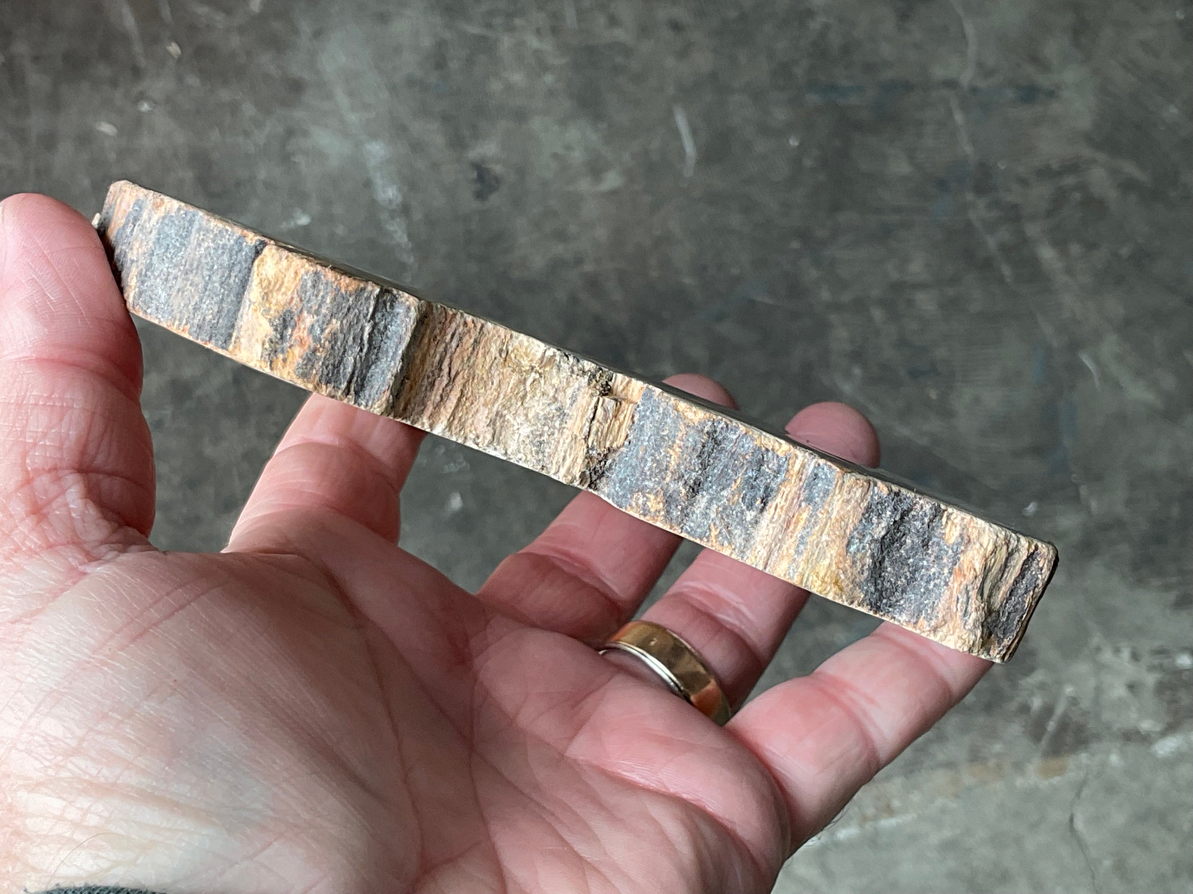 430g Indonesian Petrified Wood Polished Slab 2A