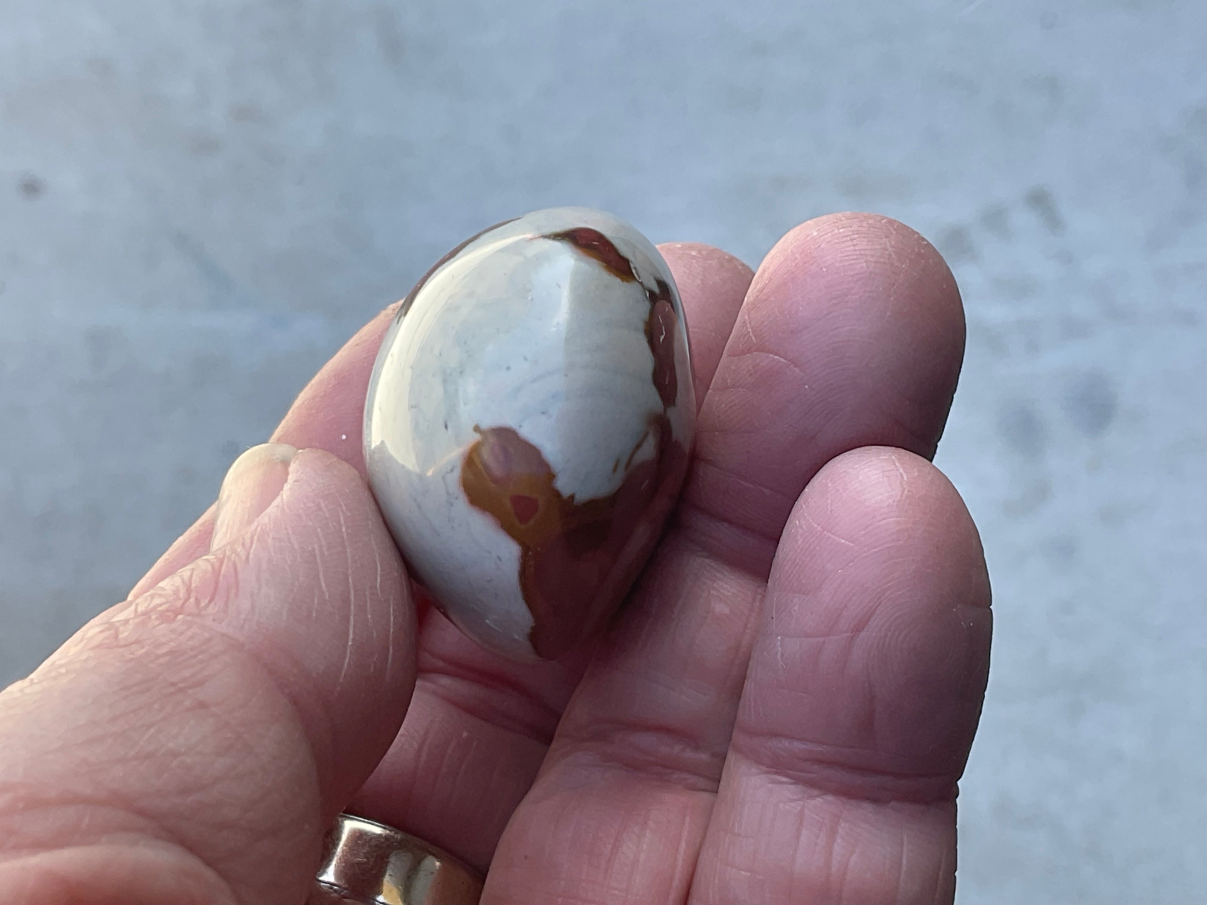 47g Polychrome Jasper Palmstone 2D