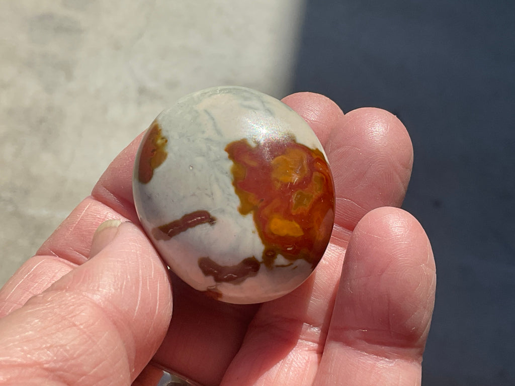 47g Polychrome Jasper Palmstone 2D
