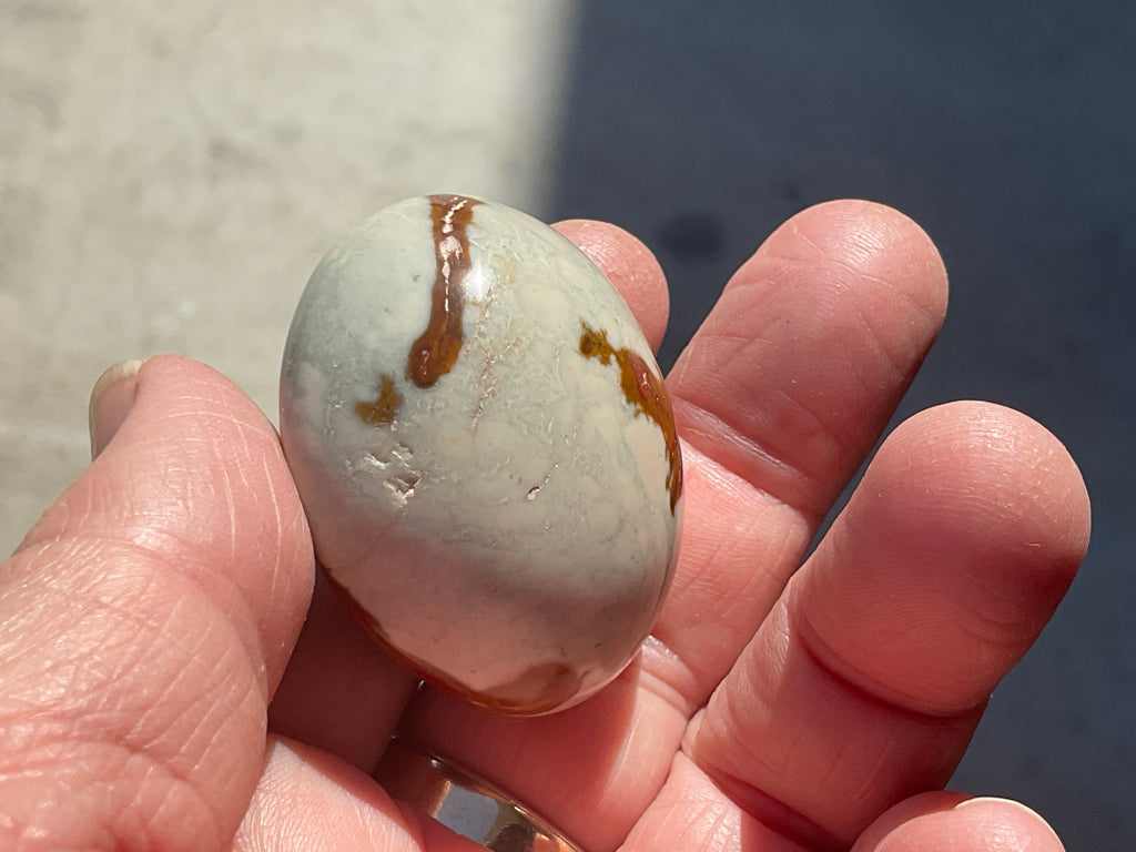 47g Polychrome Jasper Palmstone 2D