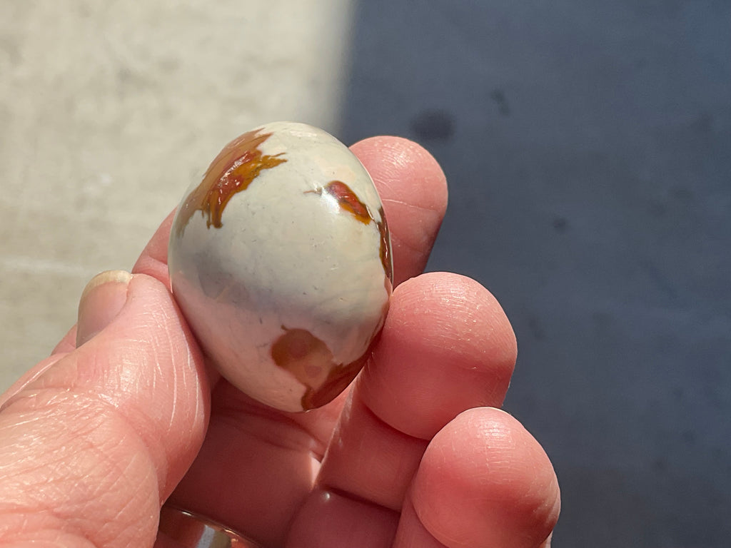 47g Polychrome Jasper Palmstone 2D