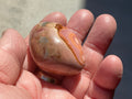 45g Polychrome Jasper Palmstone 3C