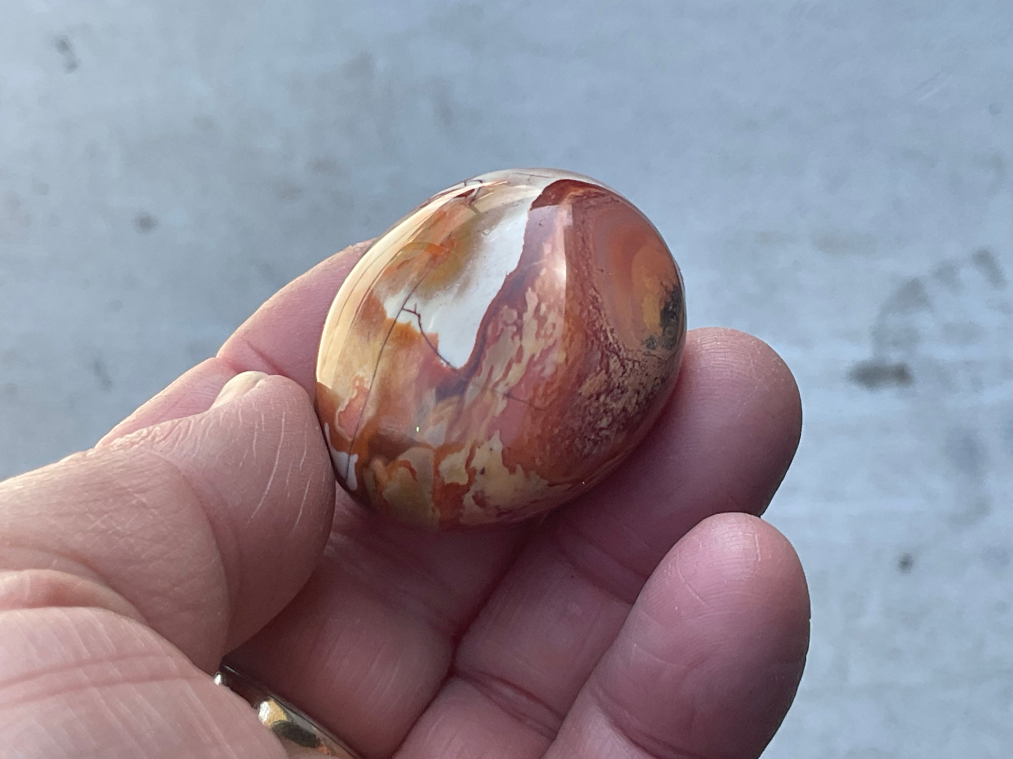 45g Polychrome Jasper Palmstone 3D