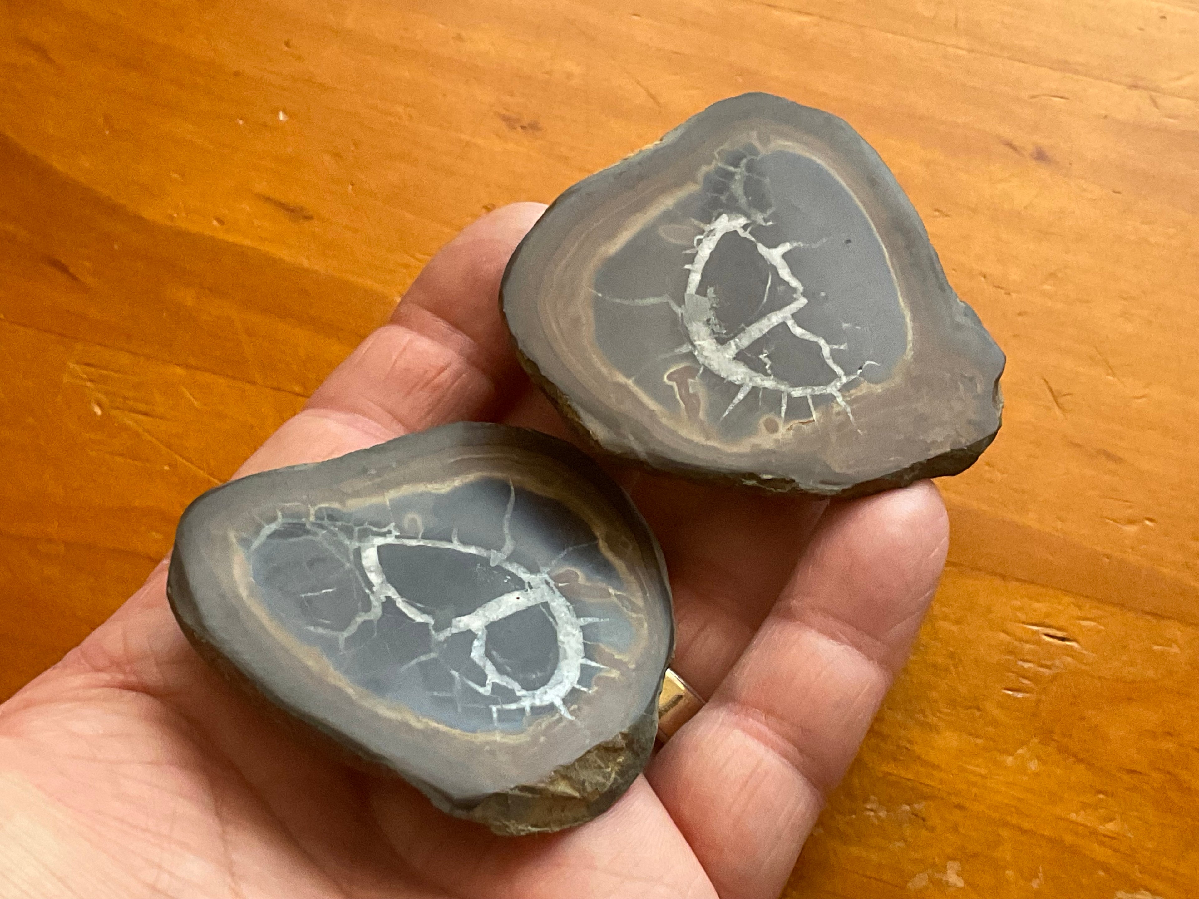 149g Moroccan Septarian Nodule (complete) 5C