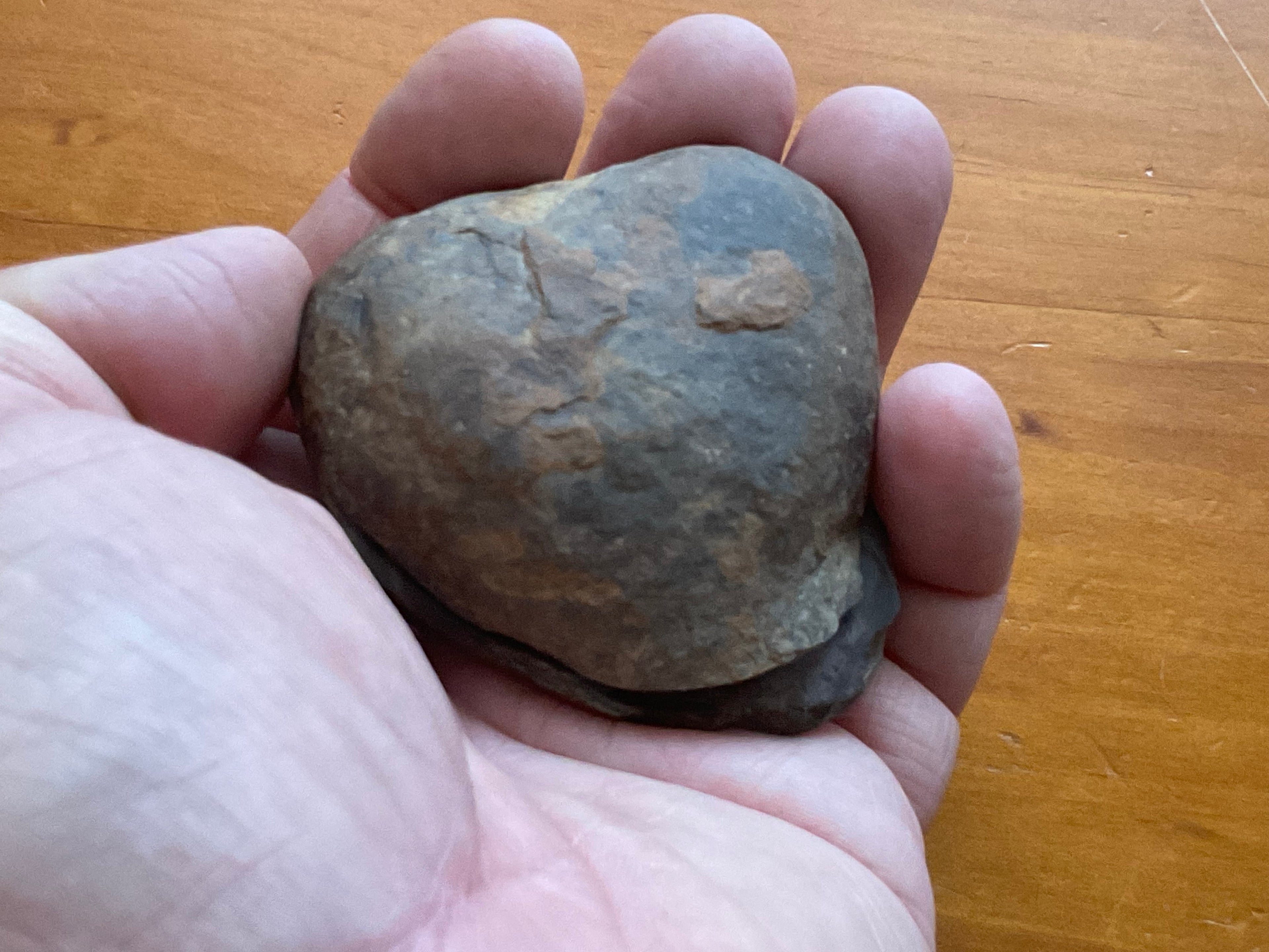 149g Moroccan Septarian Nodule (complete) 5C