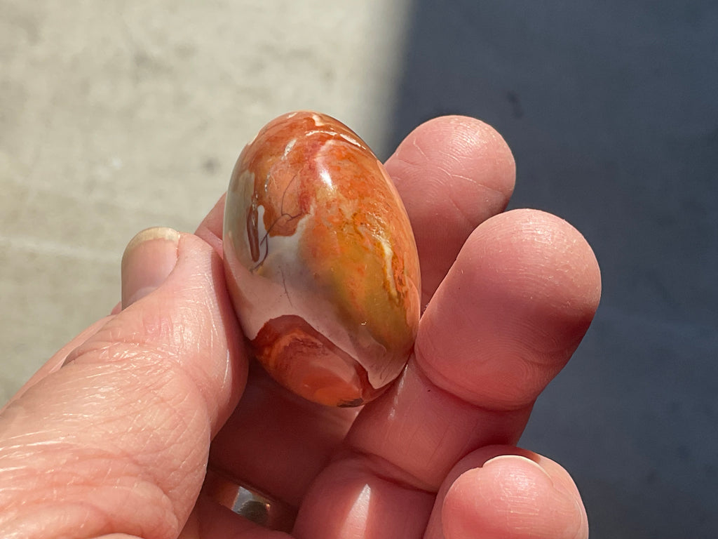 45g Polychrome Jasper Palmstone 3D