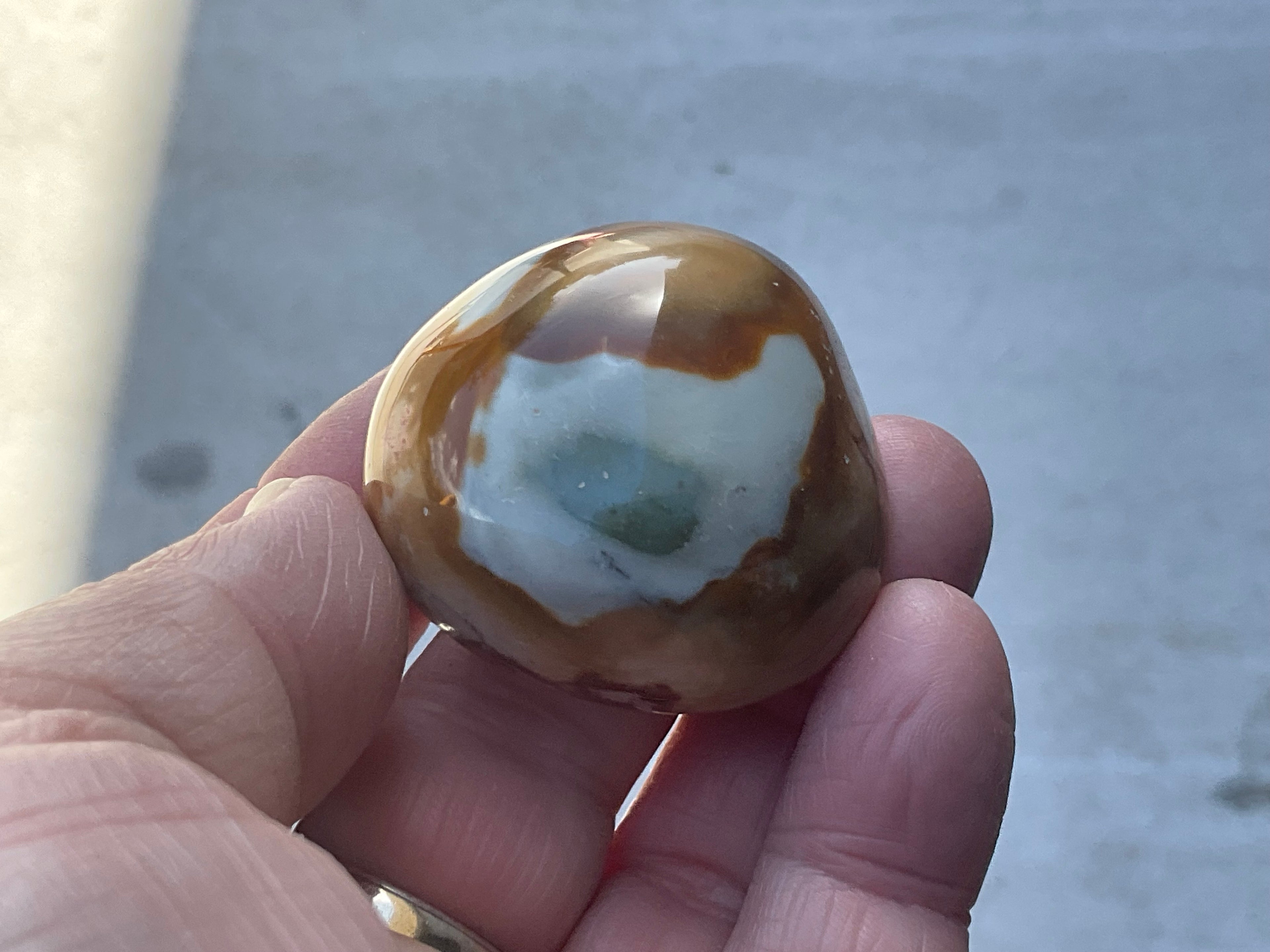 54g Polychrome Jasper Palmstone 5B