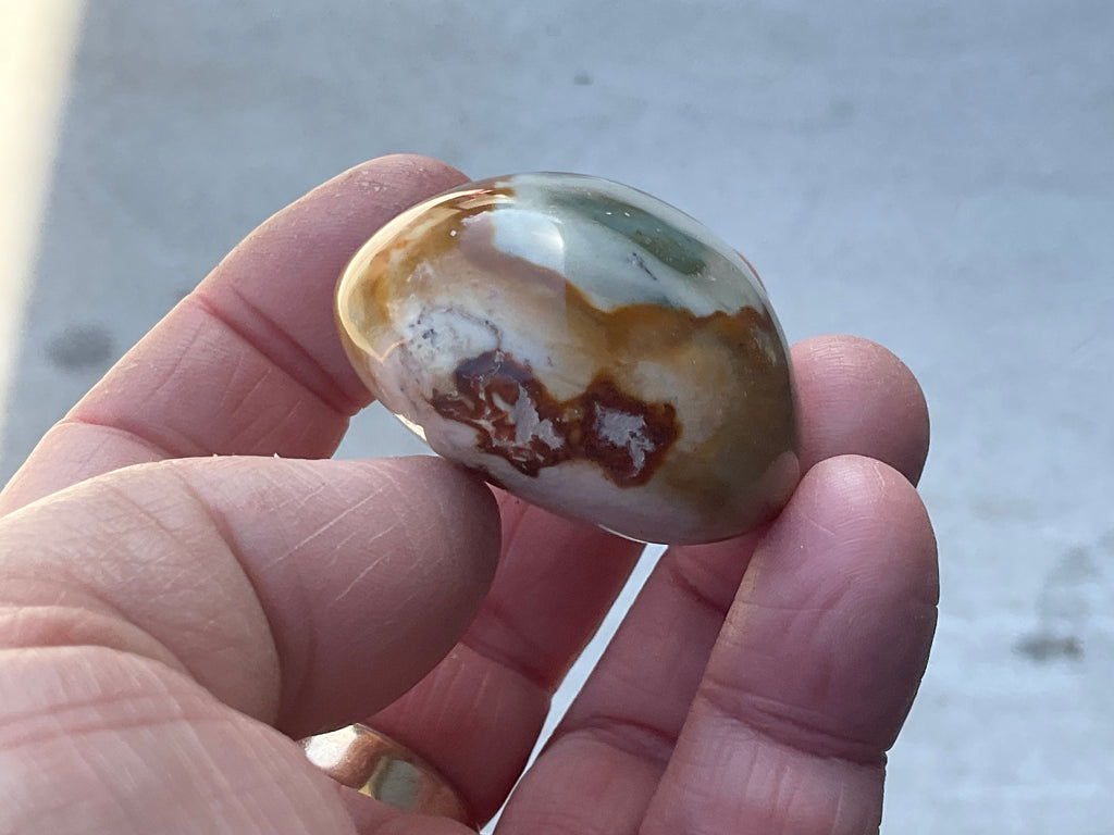 54g Polychrome Jasper Palmstone 5B