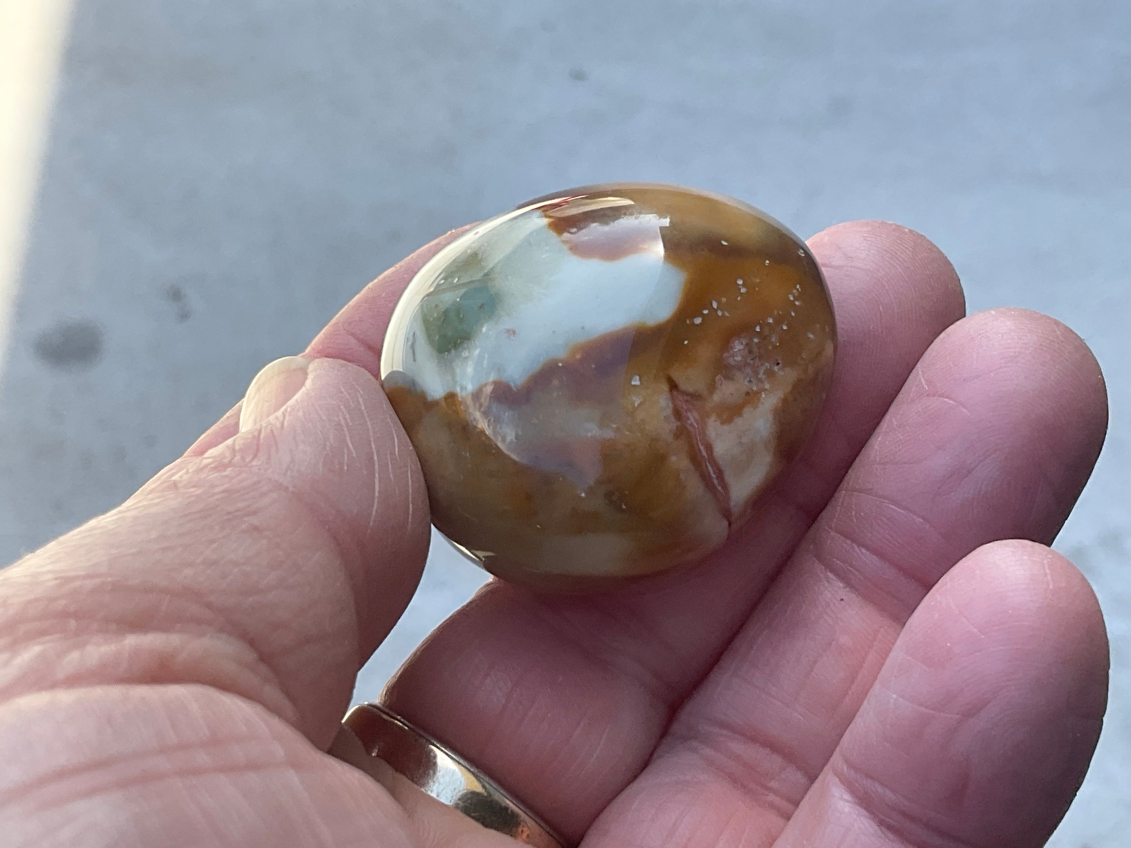 54g Polychrome Jasper Palmstone 5B