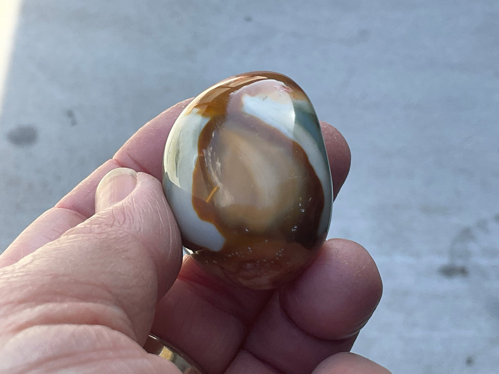 54g Polychrome Jasper Palmstone 5B