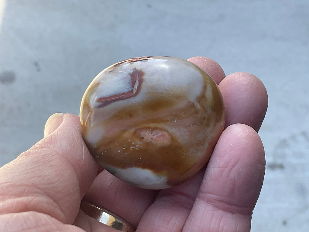54g Polychrome Jasper Palmstone 5B
