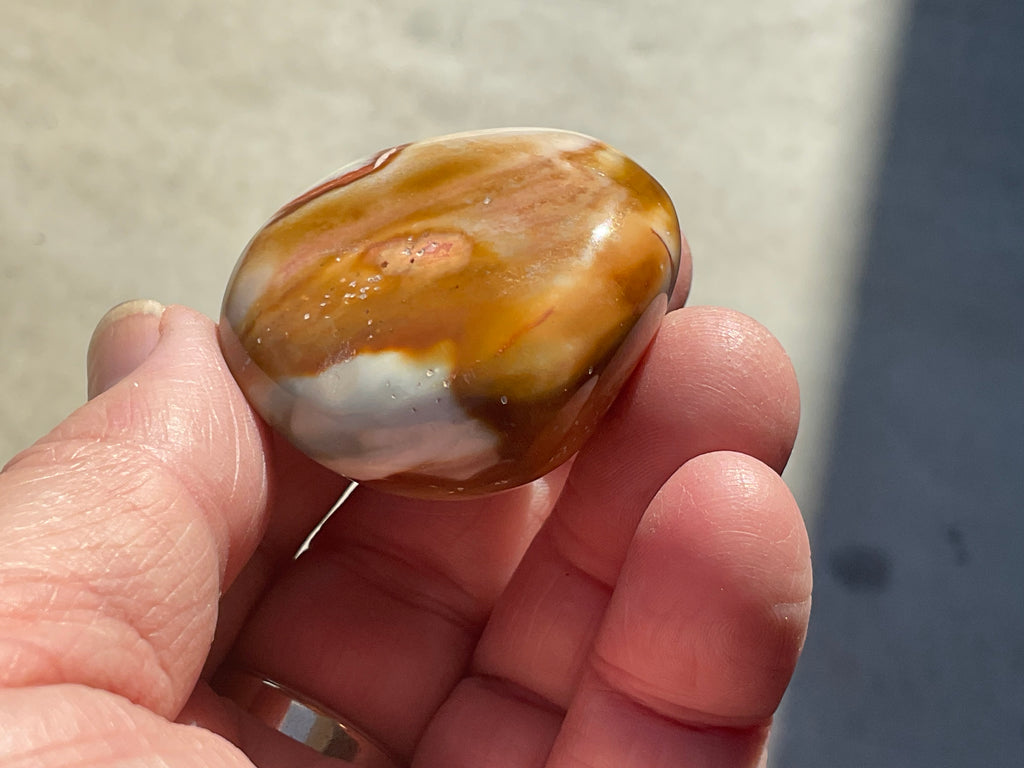 54g Polychrome Jasper Palmstone 5B
