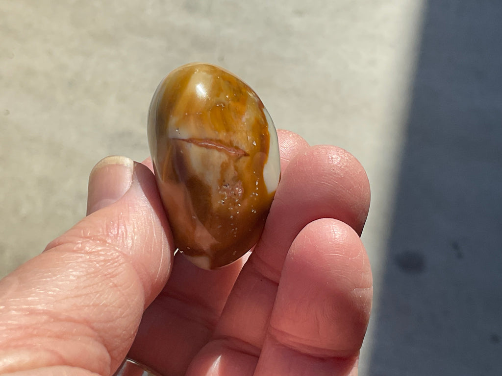 54g Polychrome Jasper Palmstone 5B