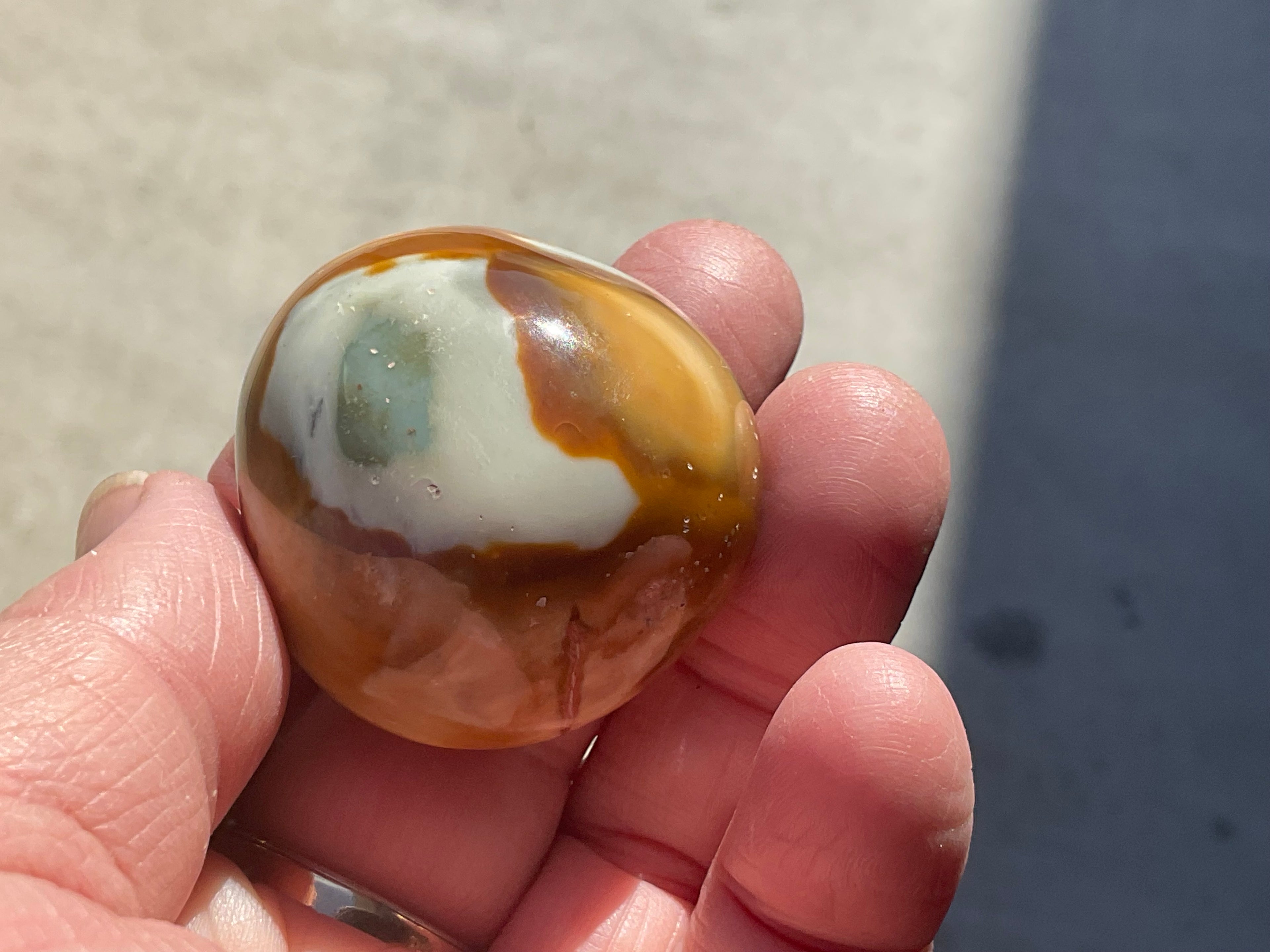 54g Polychrome Jasper Palmstone 5B