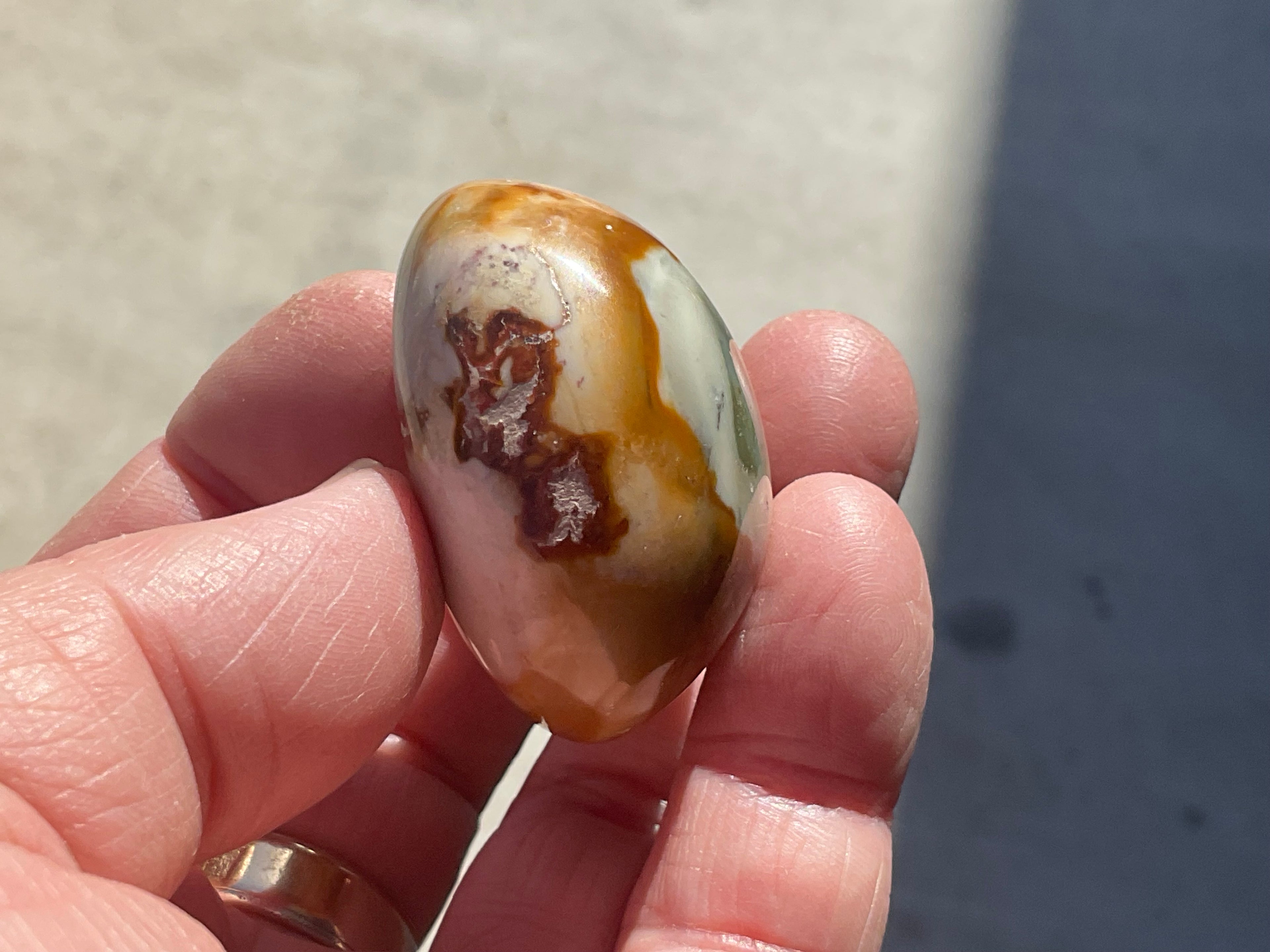 54g Polychrome Jasper Palmstone 5B
