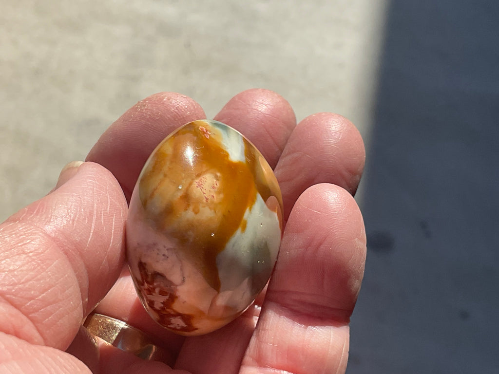 54g Polychrome Jasper Palmstone 5B