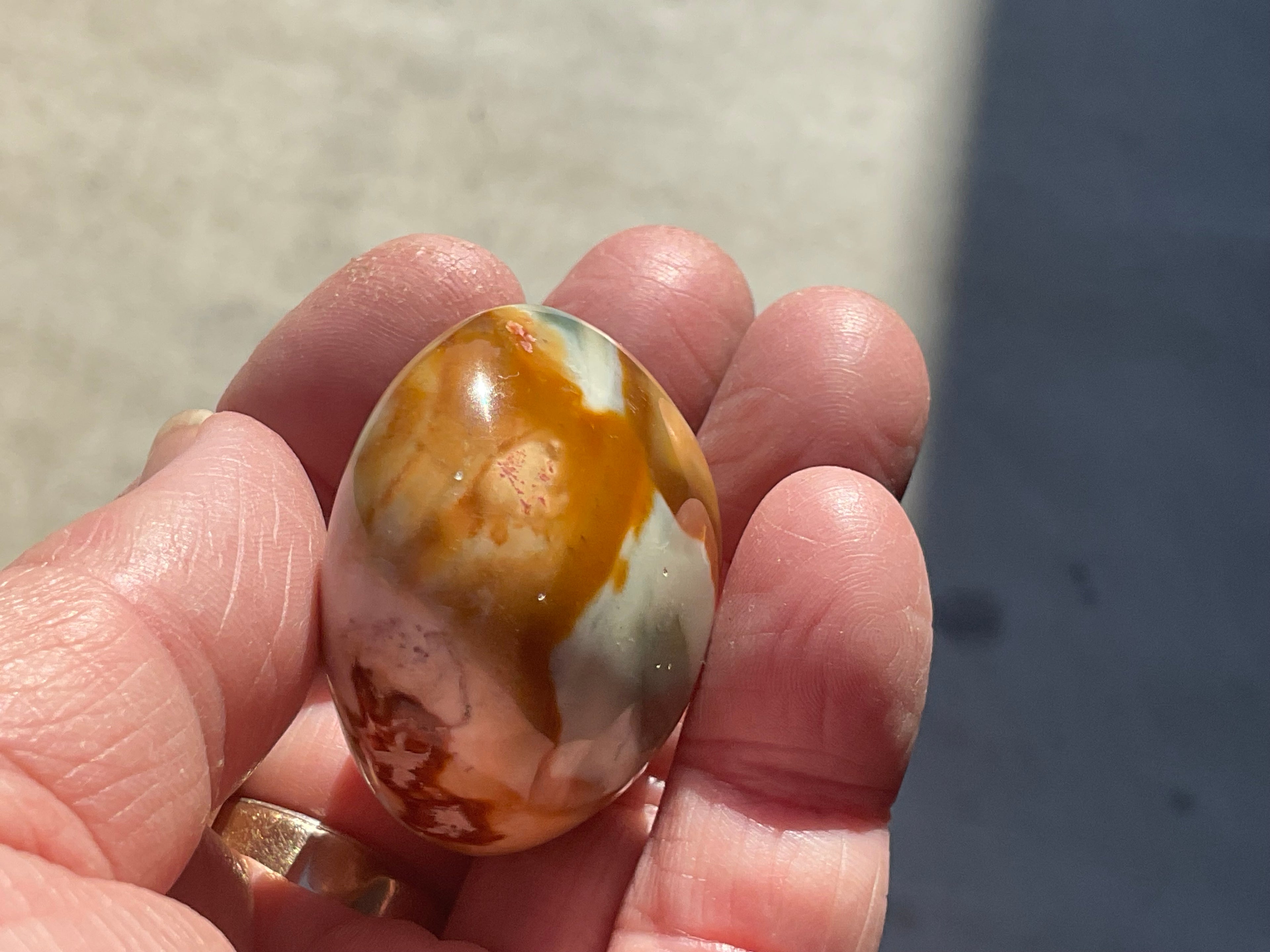 54g Polychrome Jasper Palmstone 5B