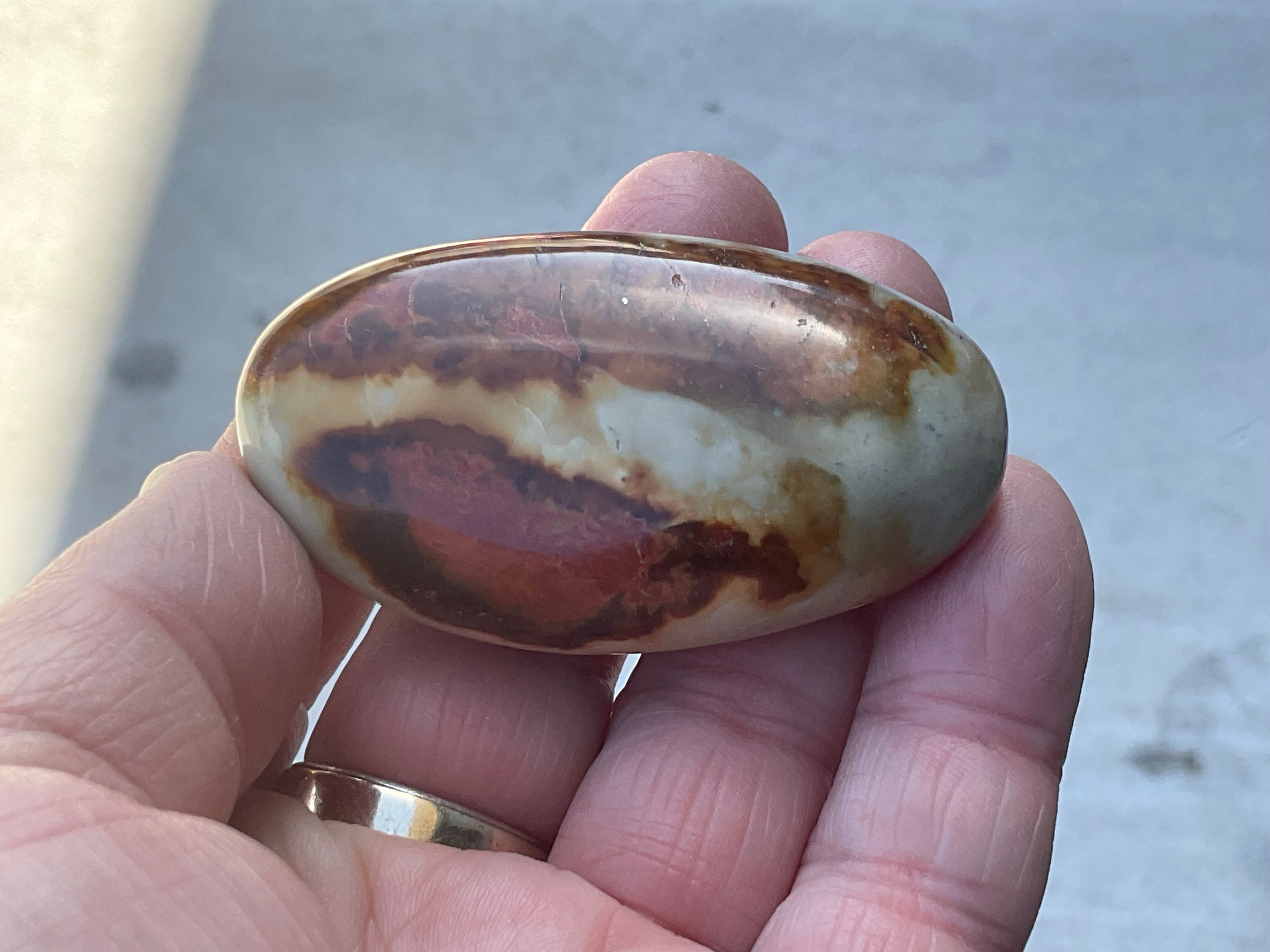 55g Polychrome Jasper Palmstone 5D
