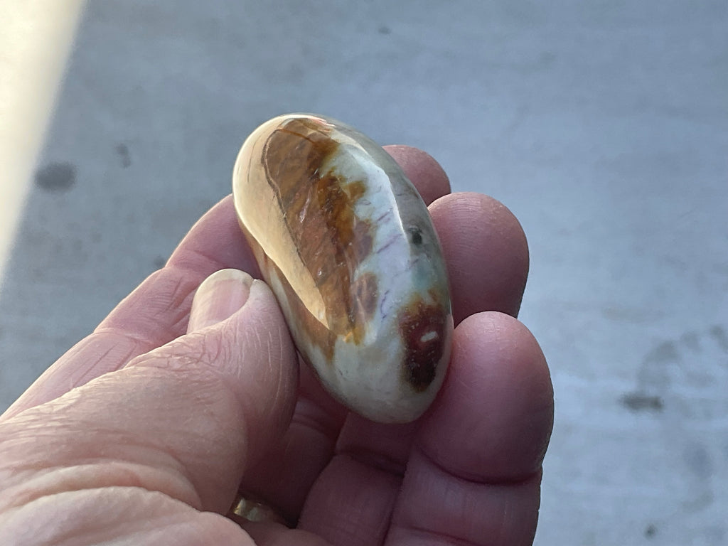 55g Polychrome Jasper Palmstone 5D
