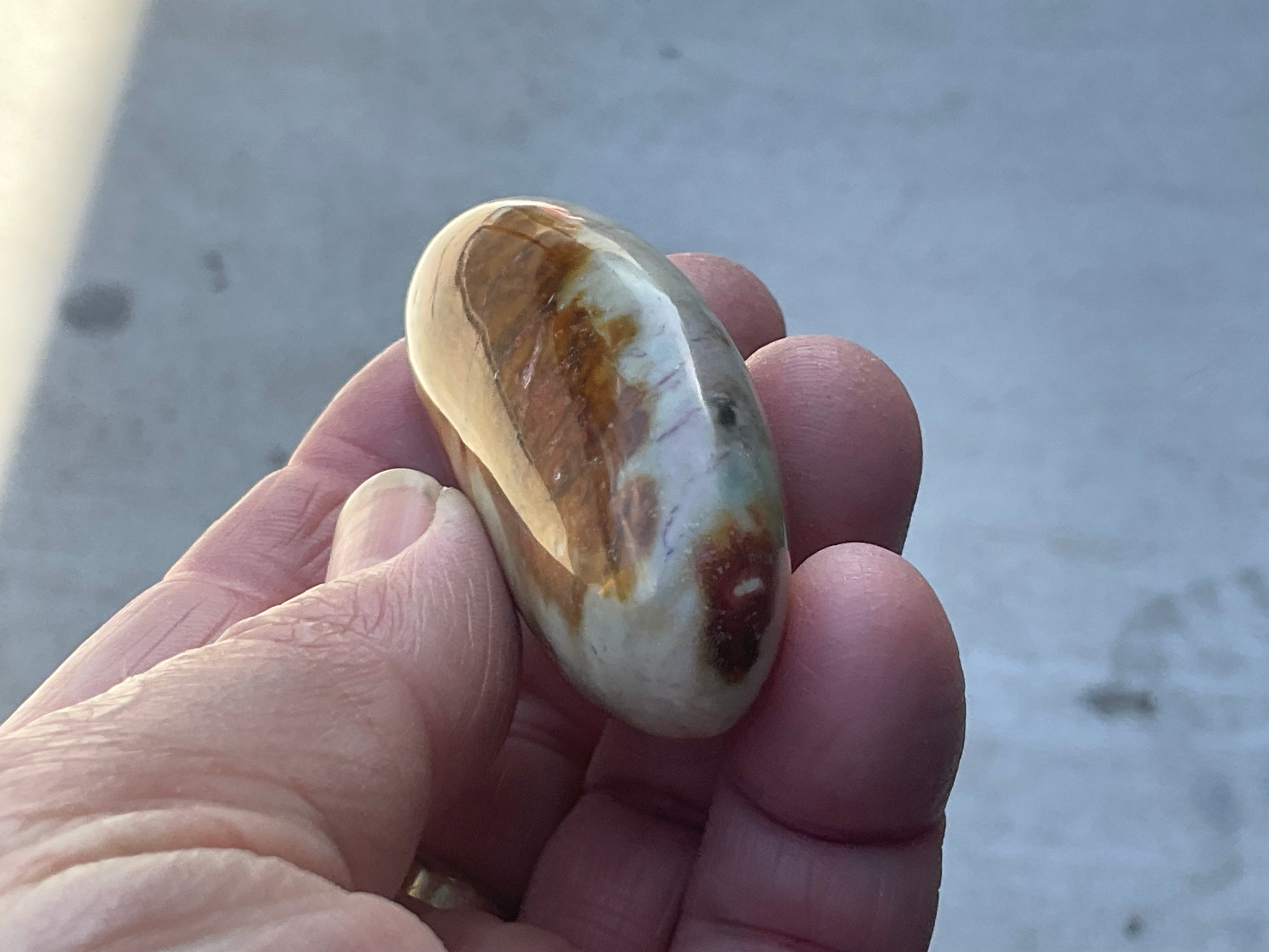 55g Polychrome Jasper Palmstone 5D