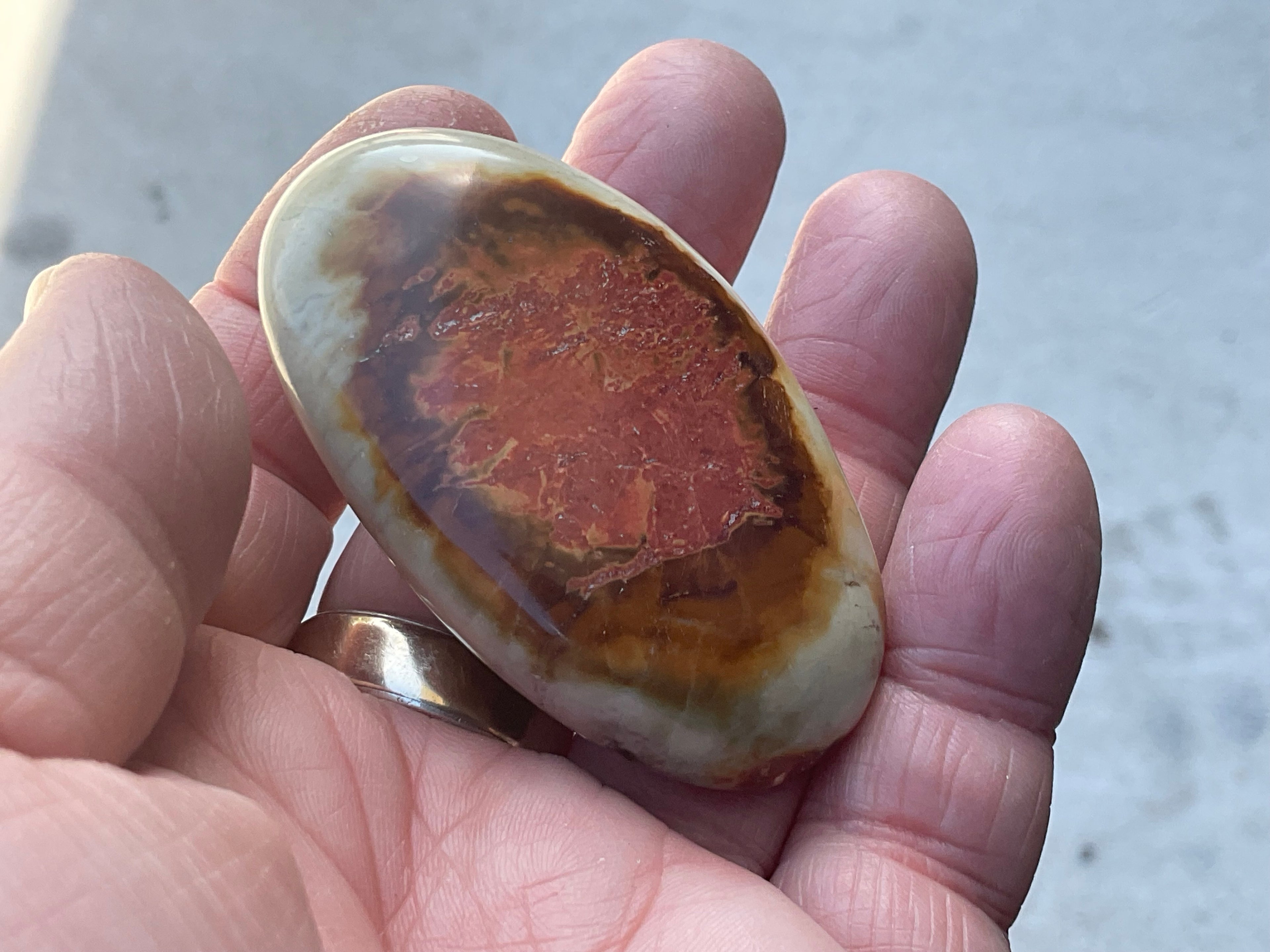 55g Polychrome Jasper Palmstone 5D
