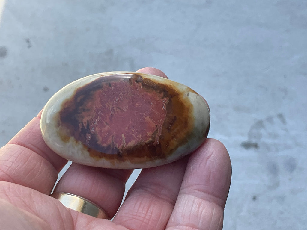 55g Polychrome Jasper Palmstone 5D