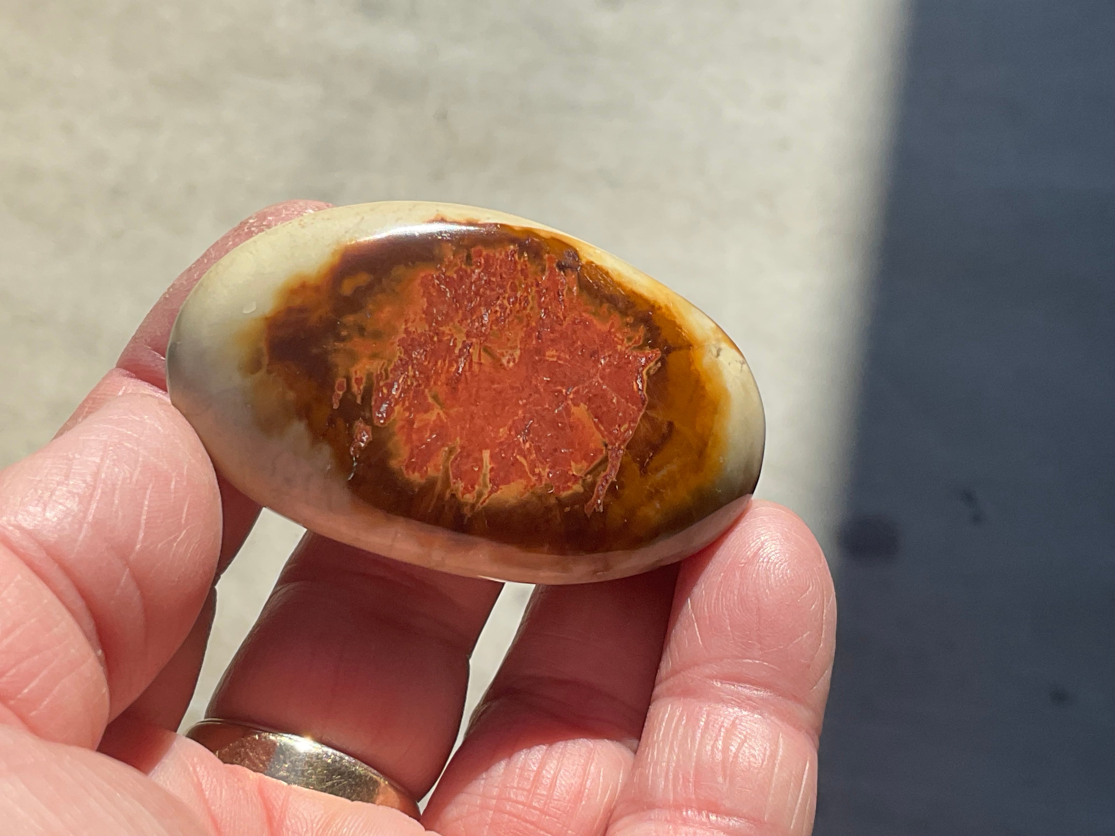 55g Polychrome Jasper Palmstone 5D