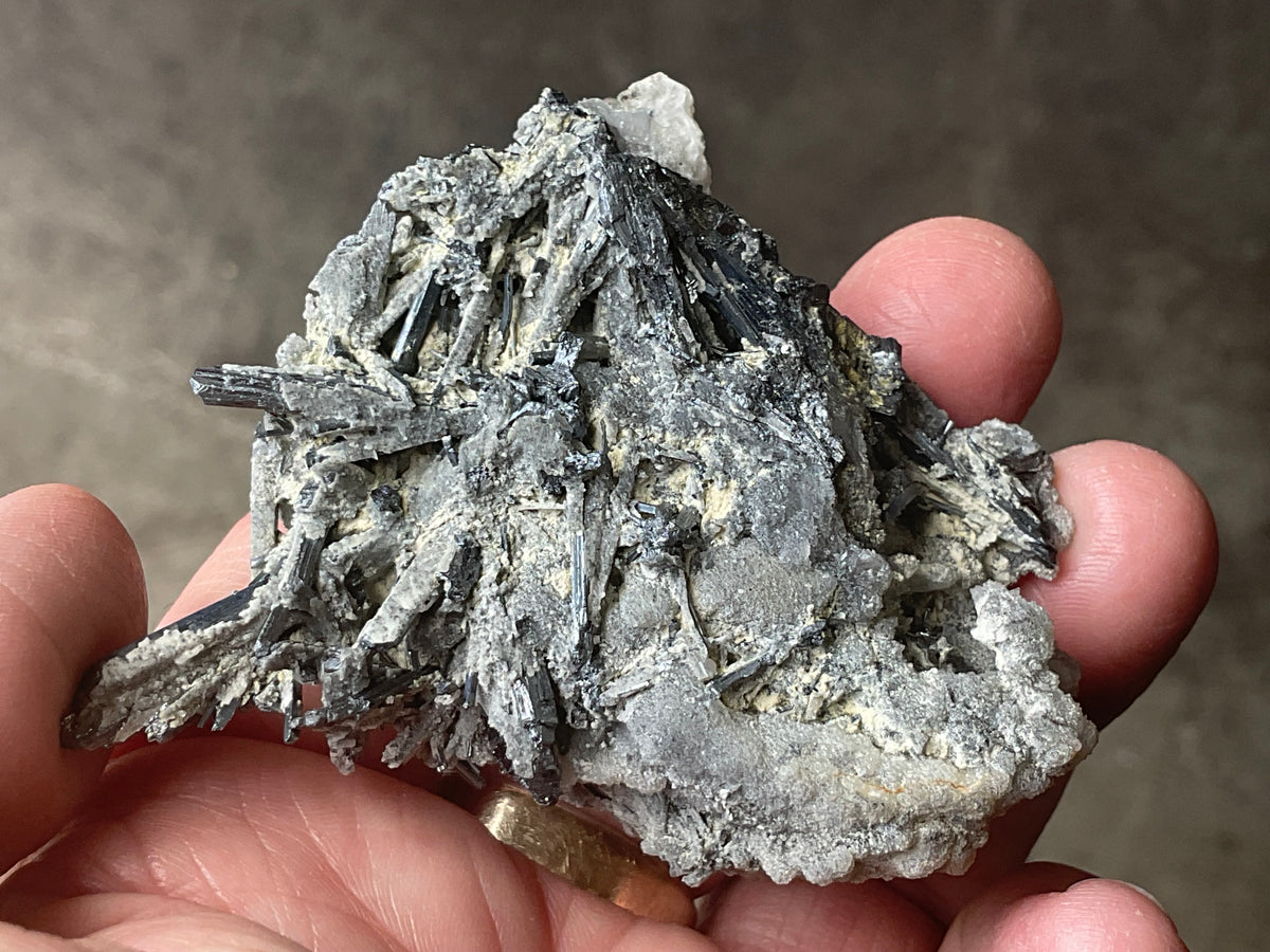 74g Stibnite in Quartz Specimen 1A