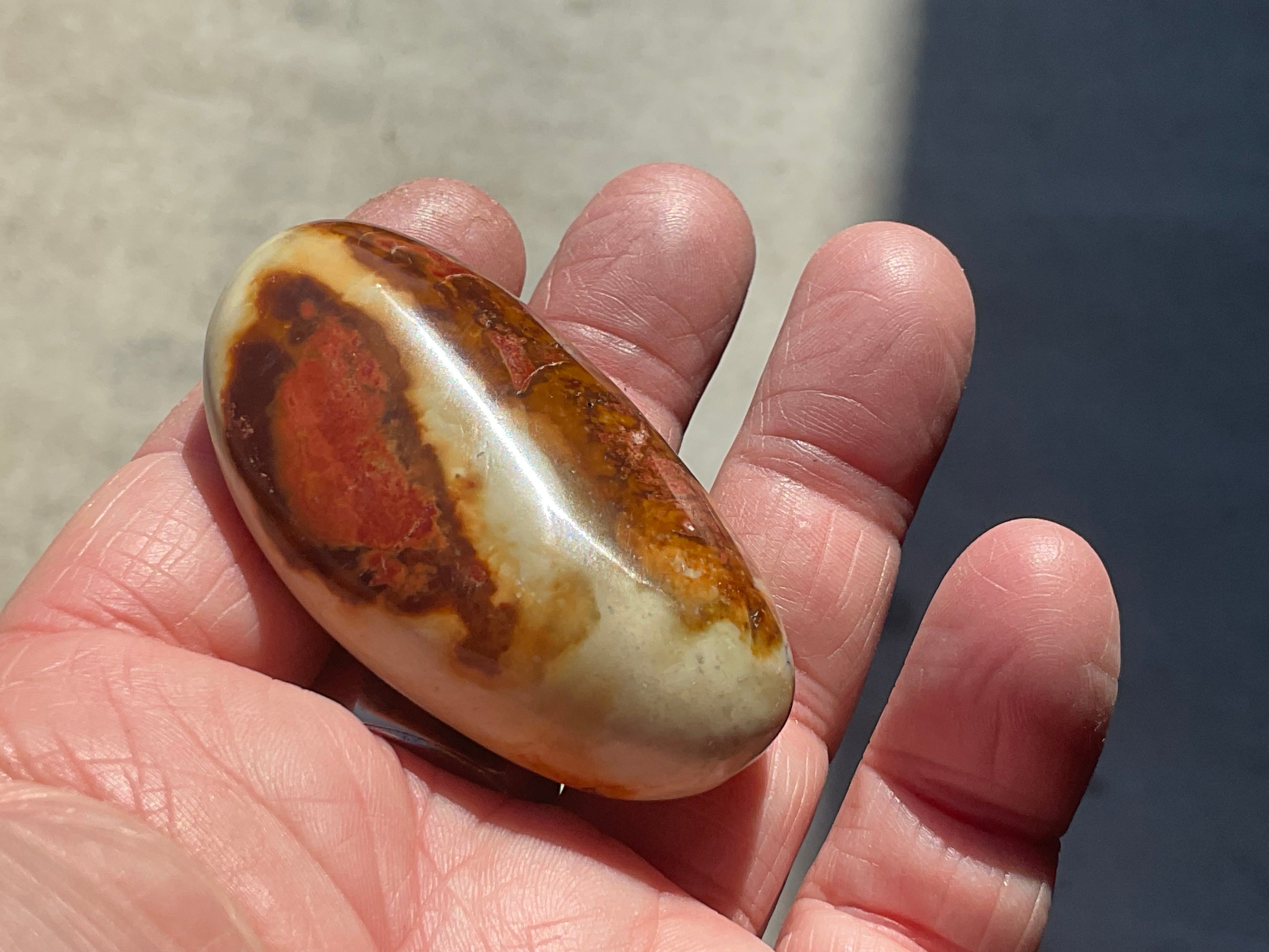 55g Polychrome Jasper Palmstone 5D