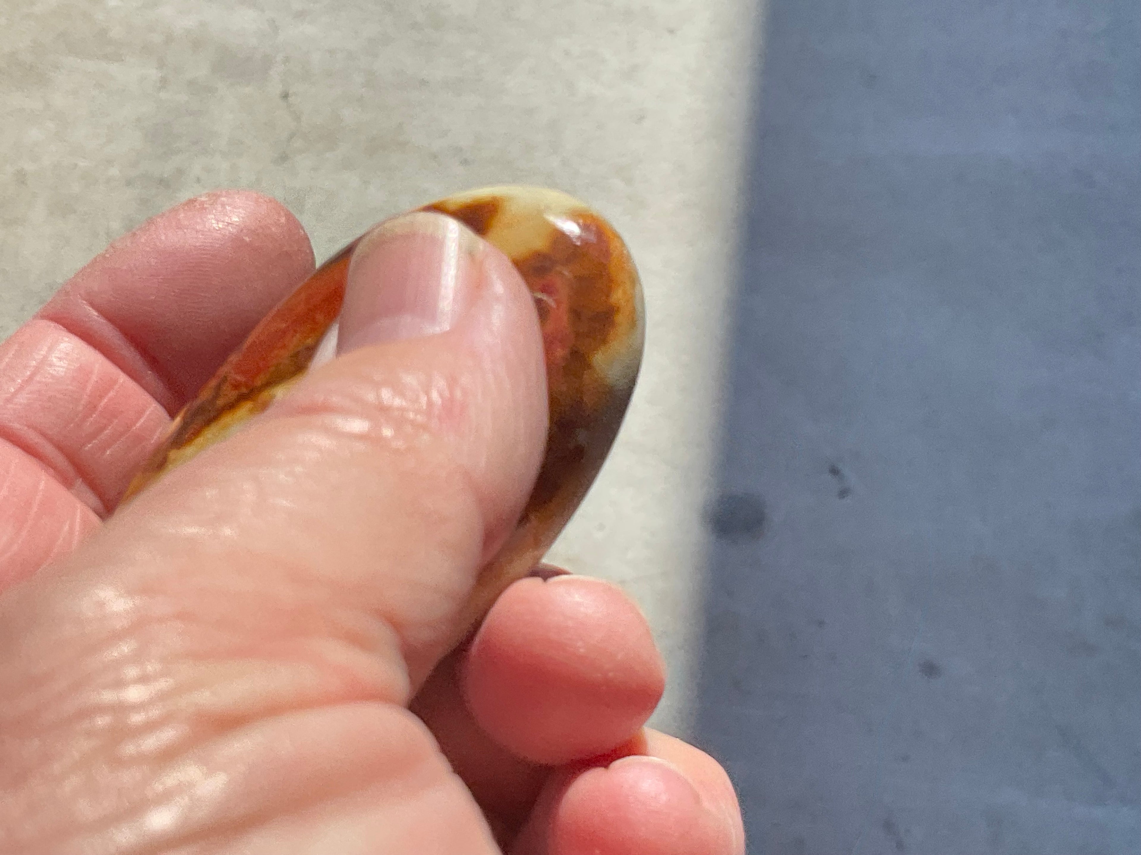 55g Polychrome Jasper Palmstone 5D