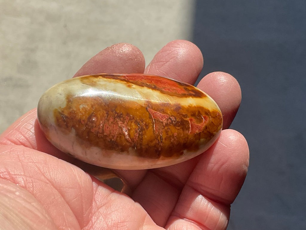 55g Polychrome Jasper Palmstone 5D