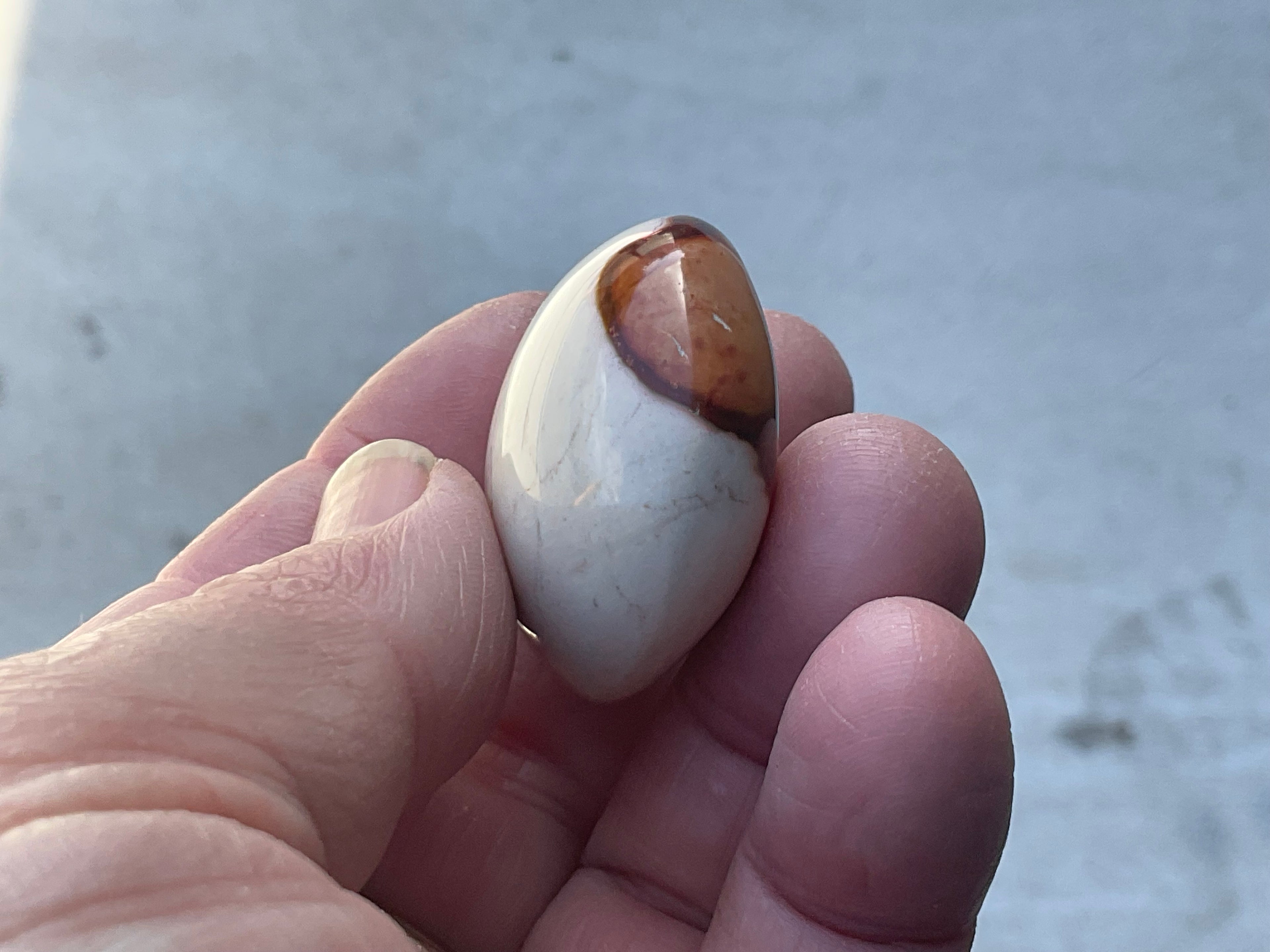 35g Polychrome Jasper Palmstone 6D