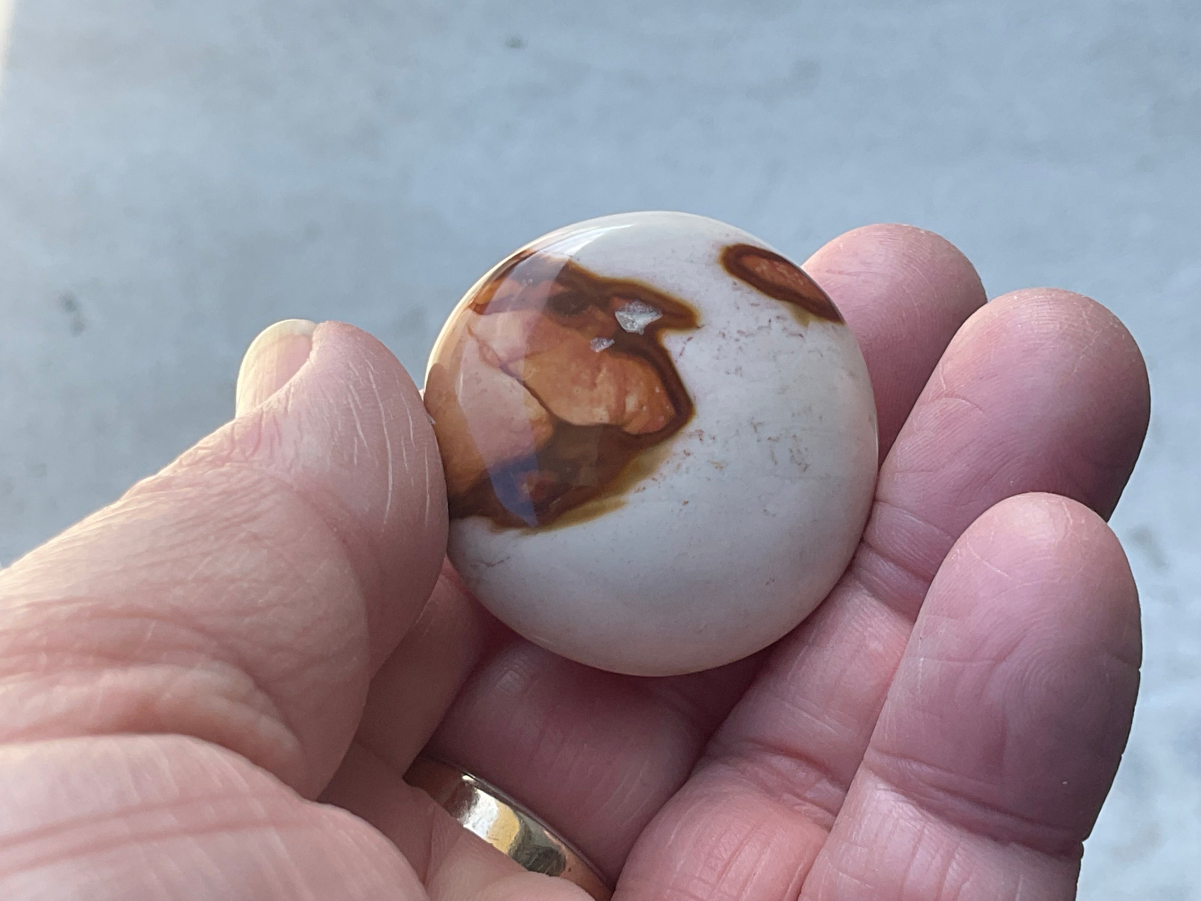 35g Polychrome Jasper Palmstone 6D