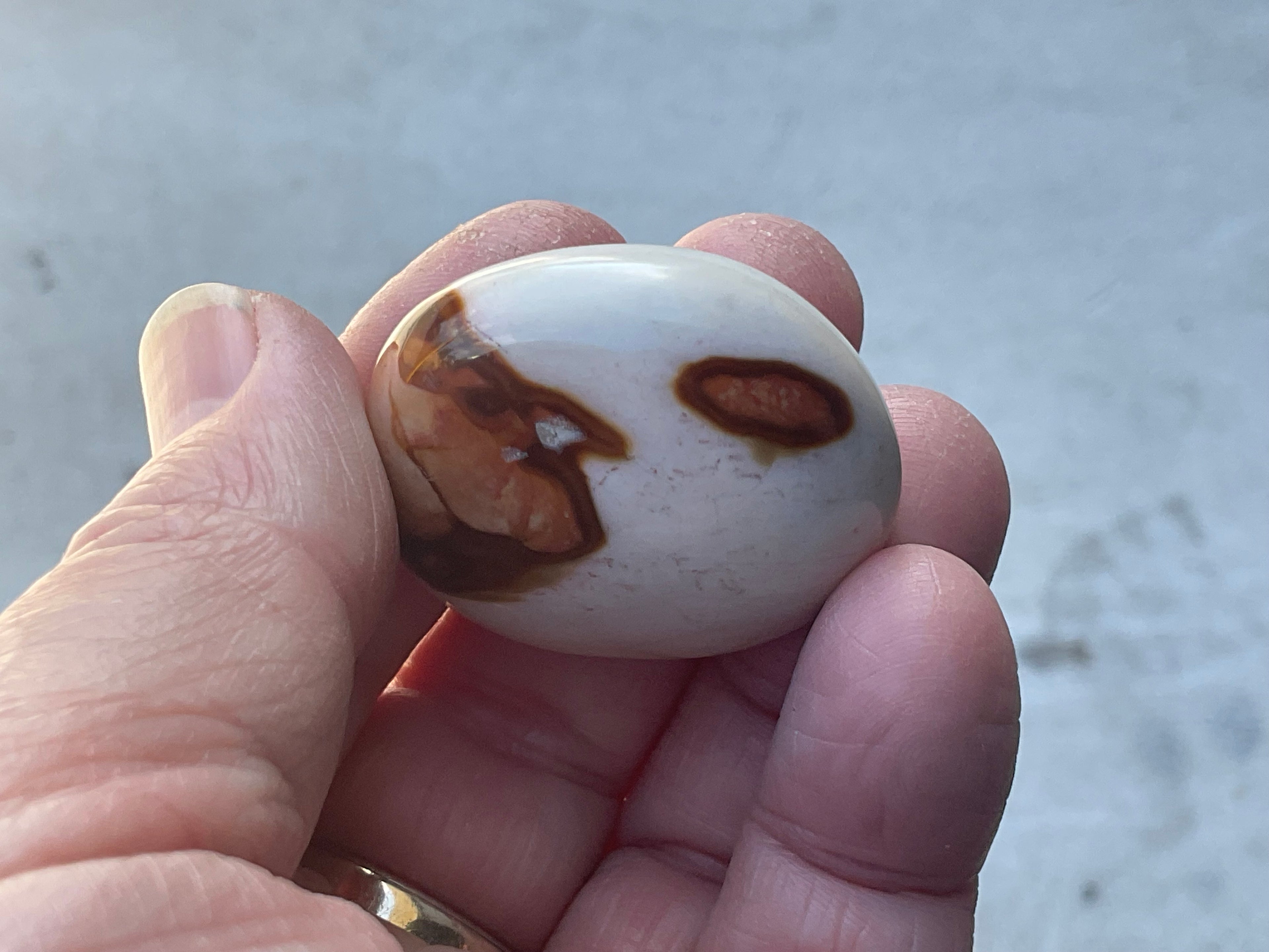 35g Polychrome Jasper Palmstone 6D
