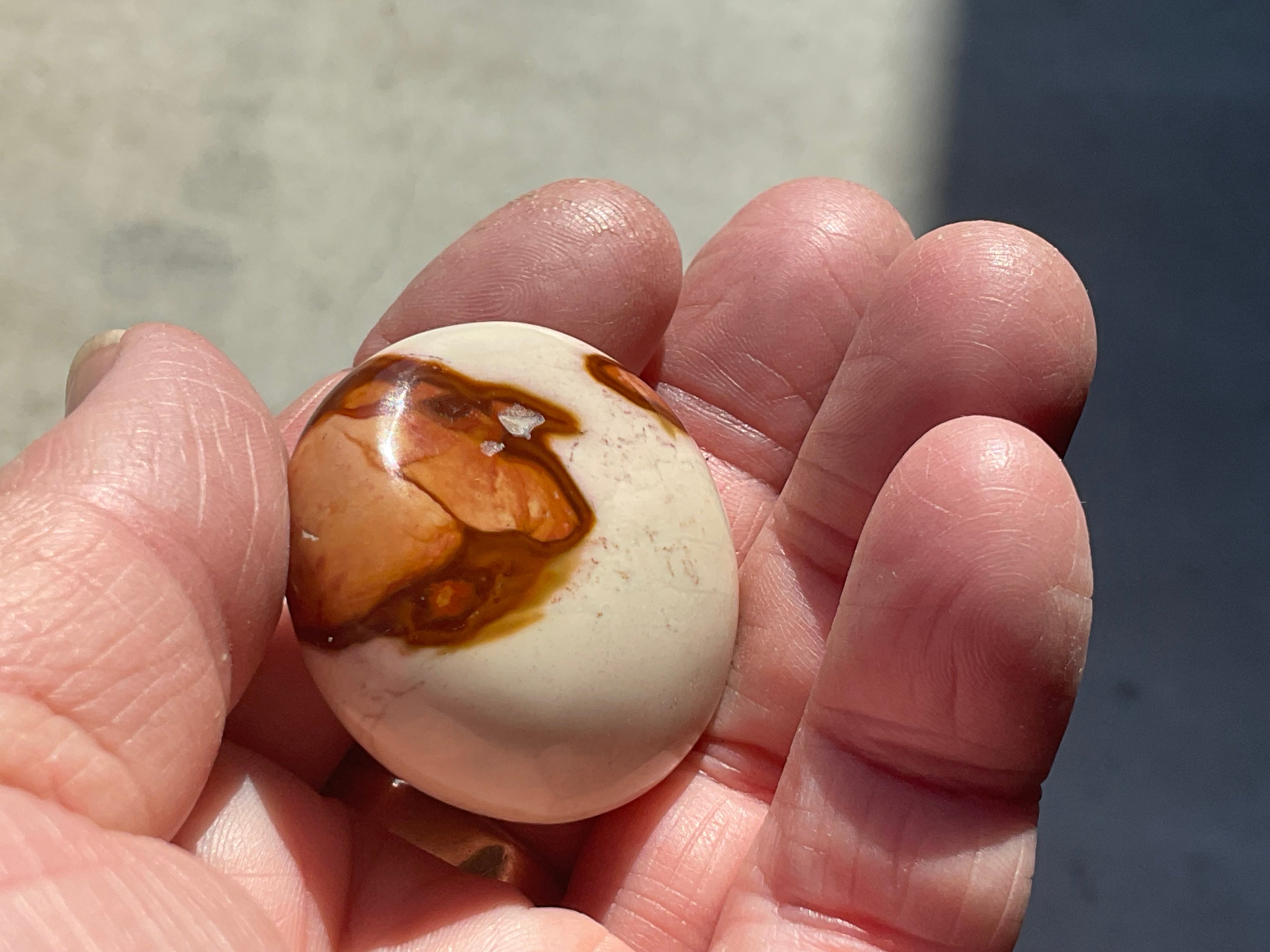 35g Polychrome Jasper Palmstone 6D