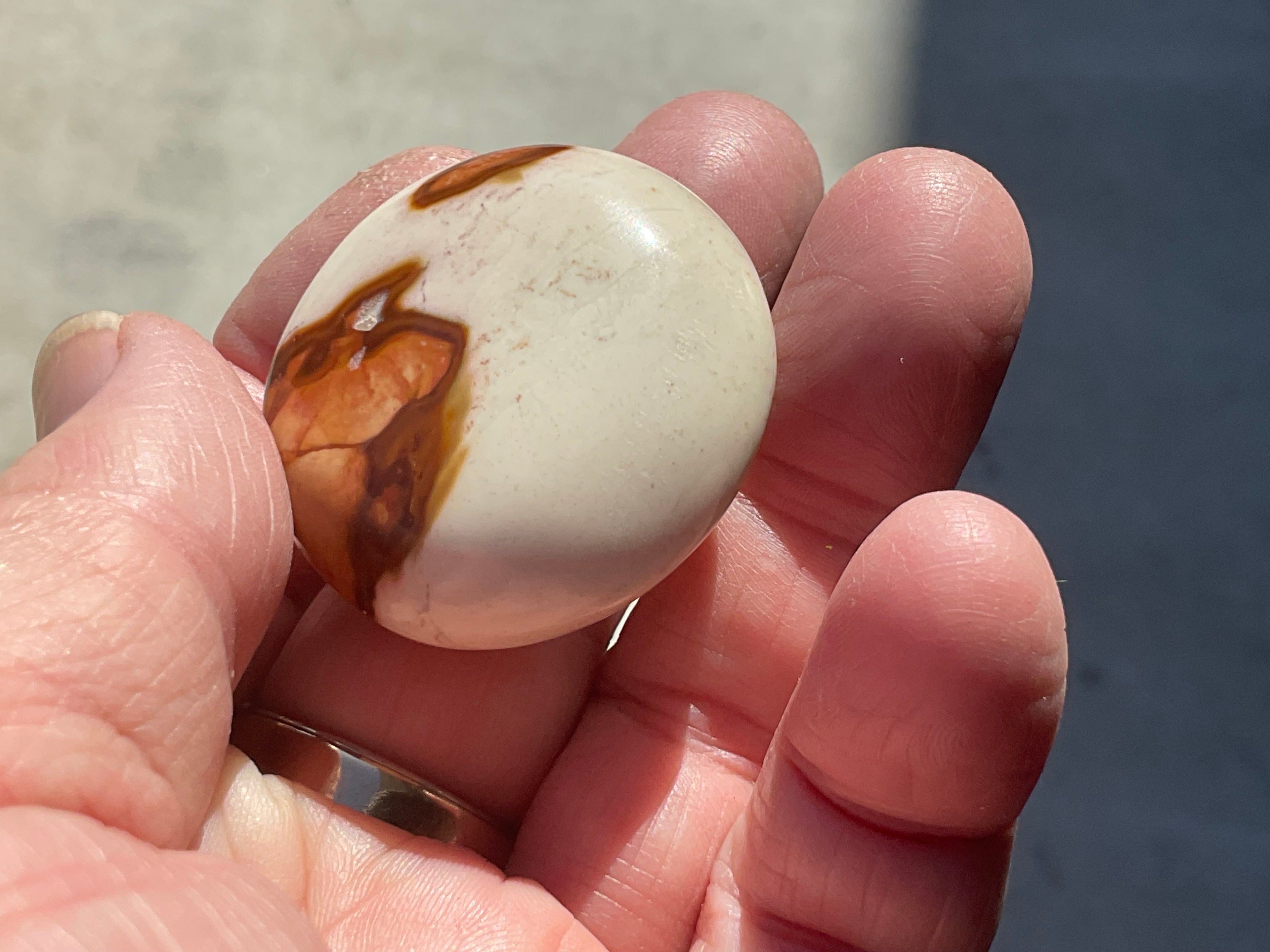 35g Polychrome Jasper Palmstone 6D