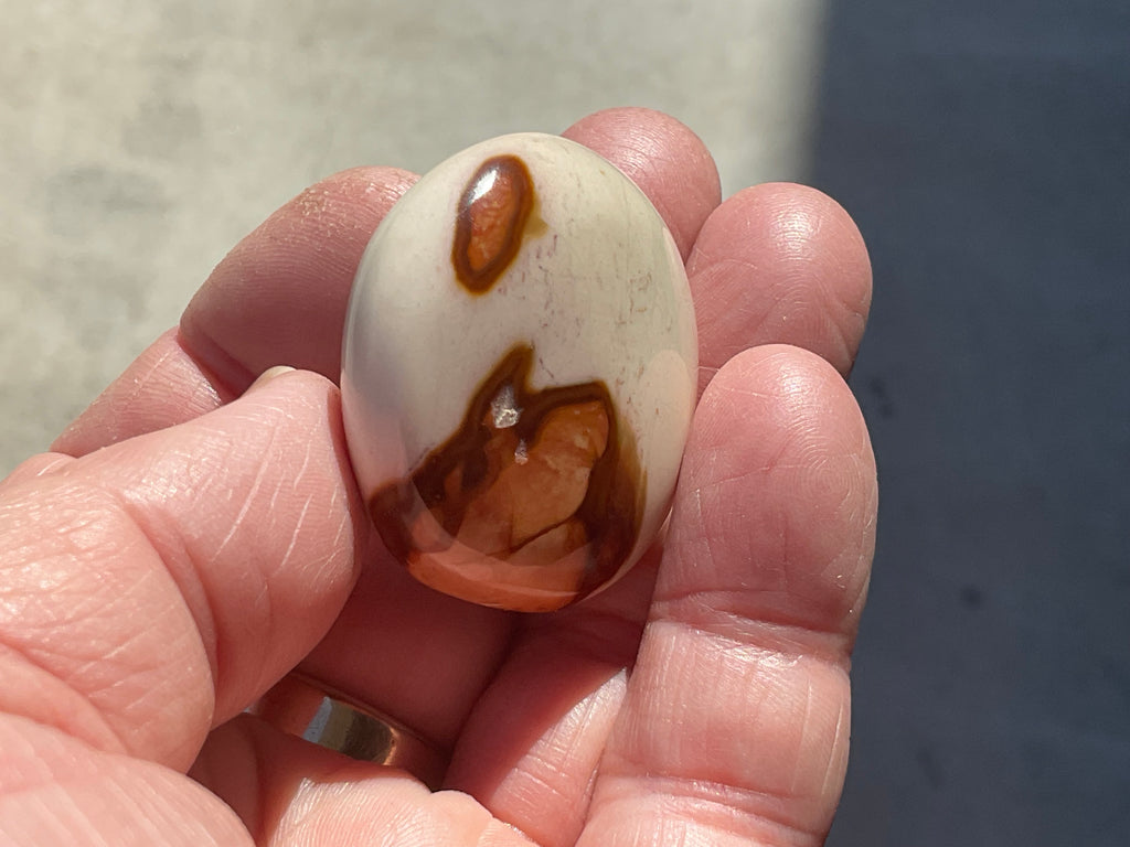 35g Polychrome Jasper Palmstone 6D