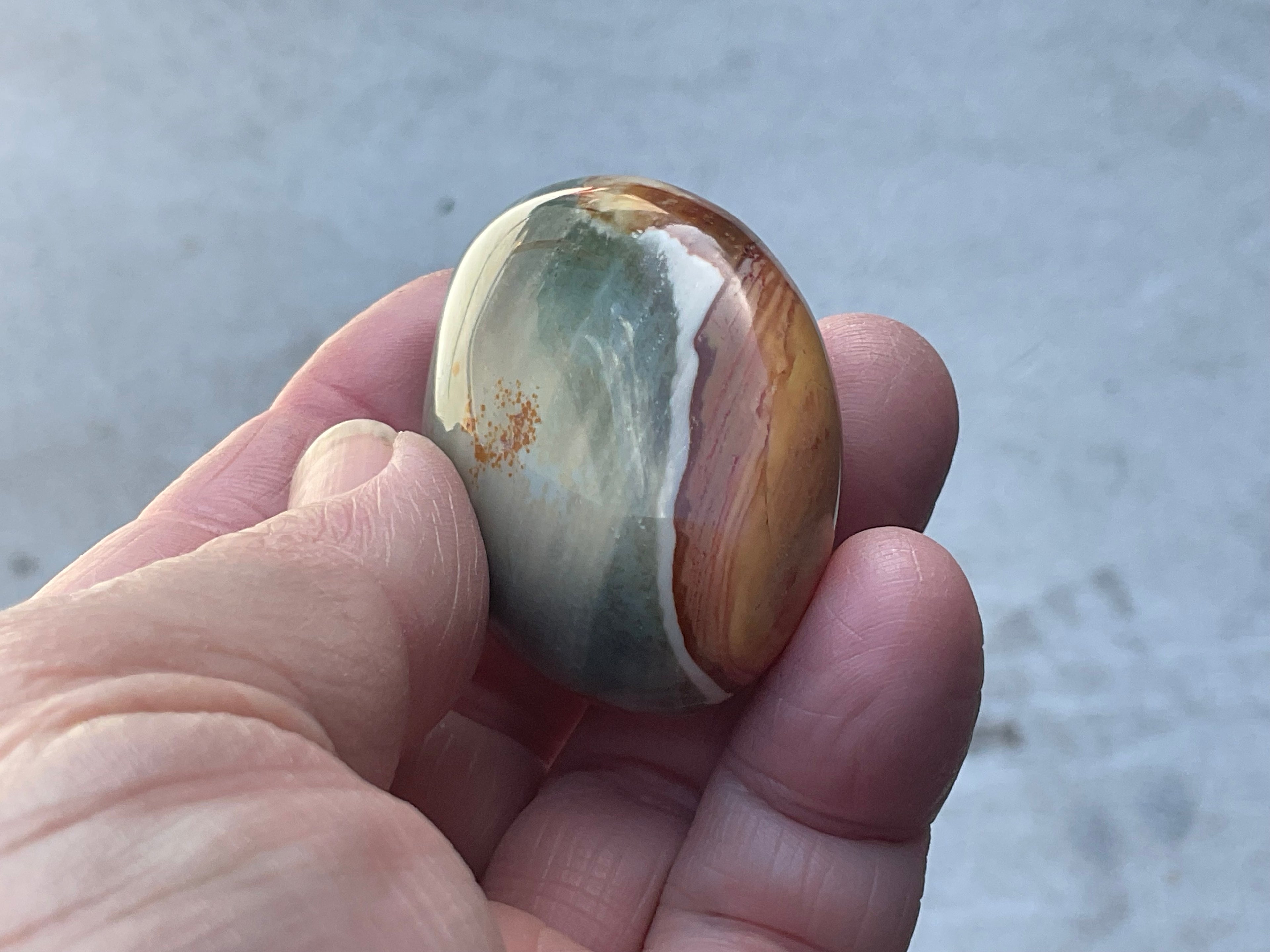 59g Polychrome Jasper Palmstone 7C