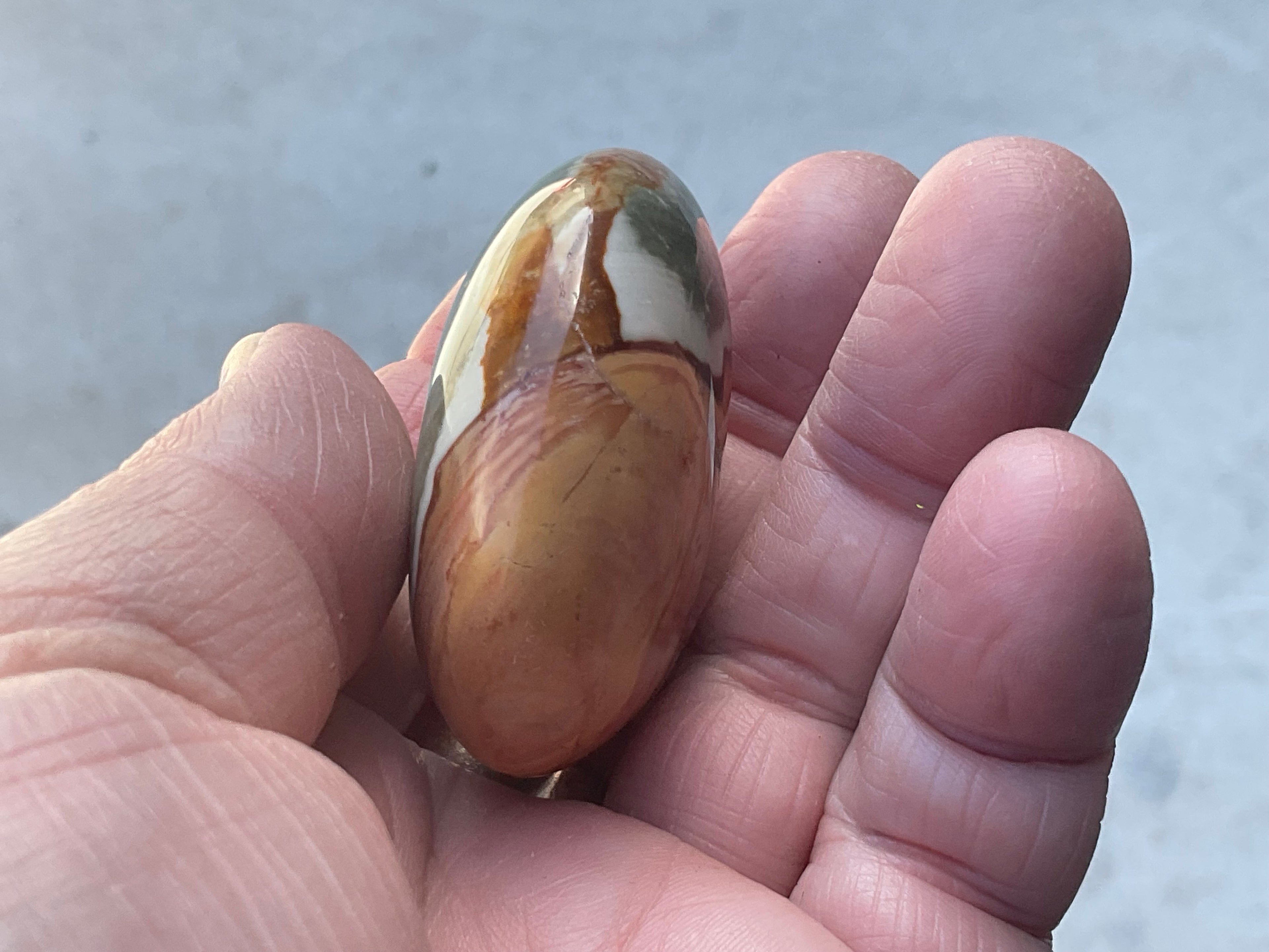 59g Polychrome Jasper Palmstone 7C