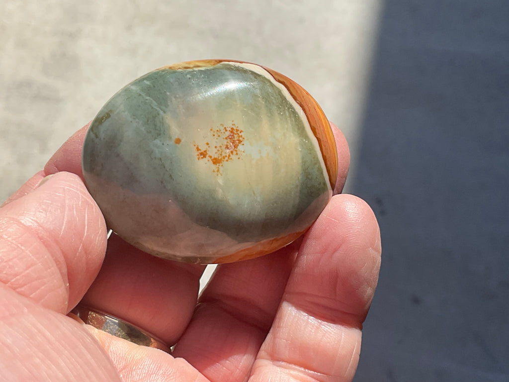 59g Polychrome Jasper Palmstone 7C
