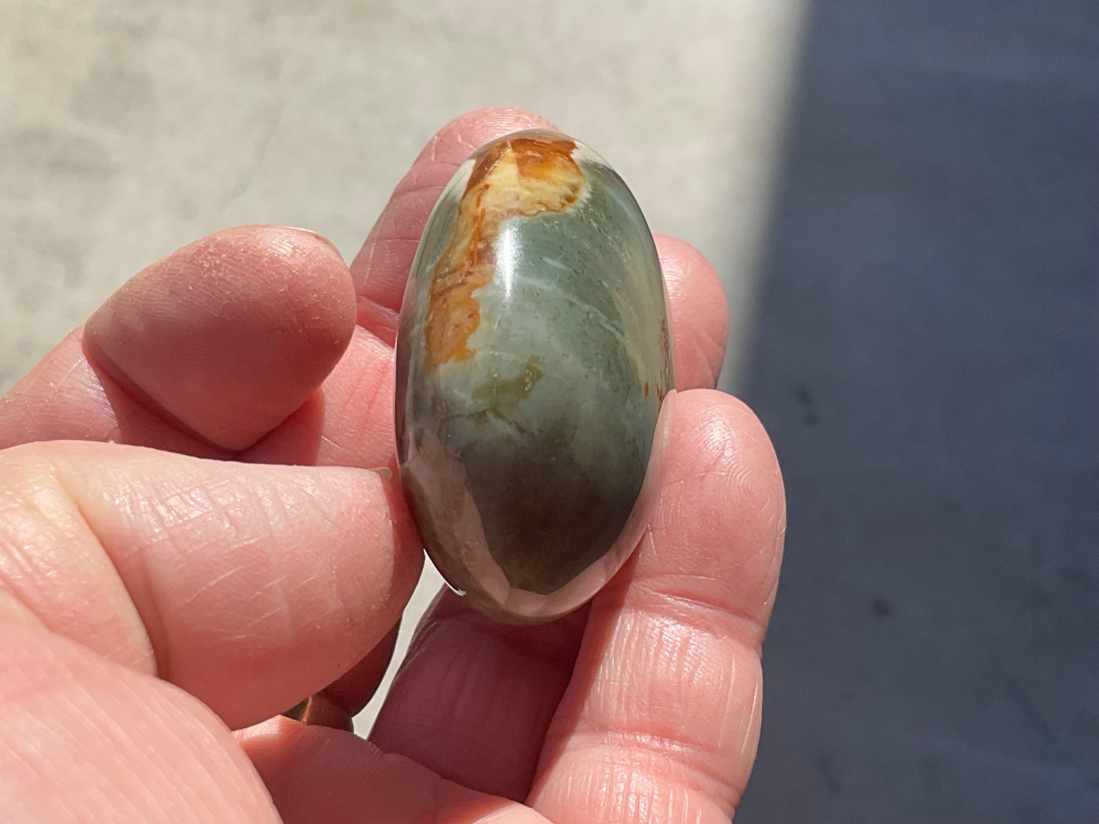 59g Polychrome Jasper Palmstone 7C