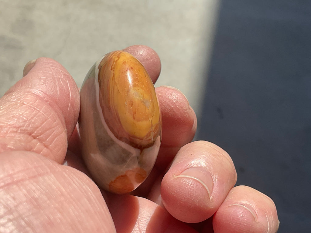 59g Polychrome Jasper Palmstone 7C
