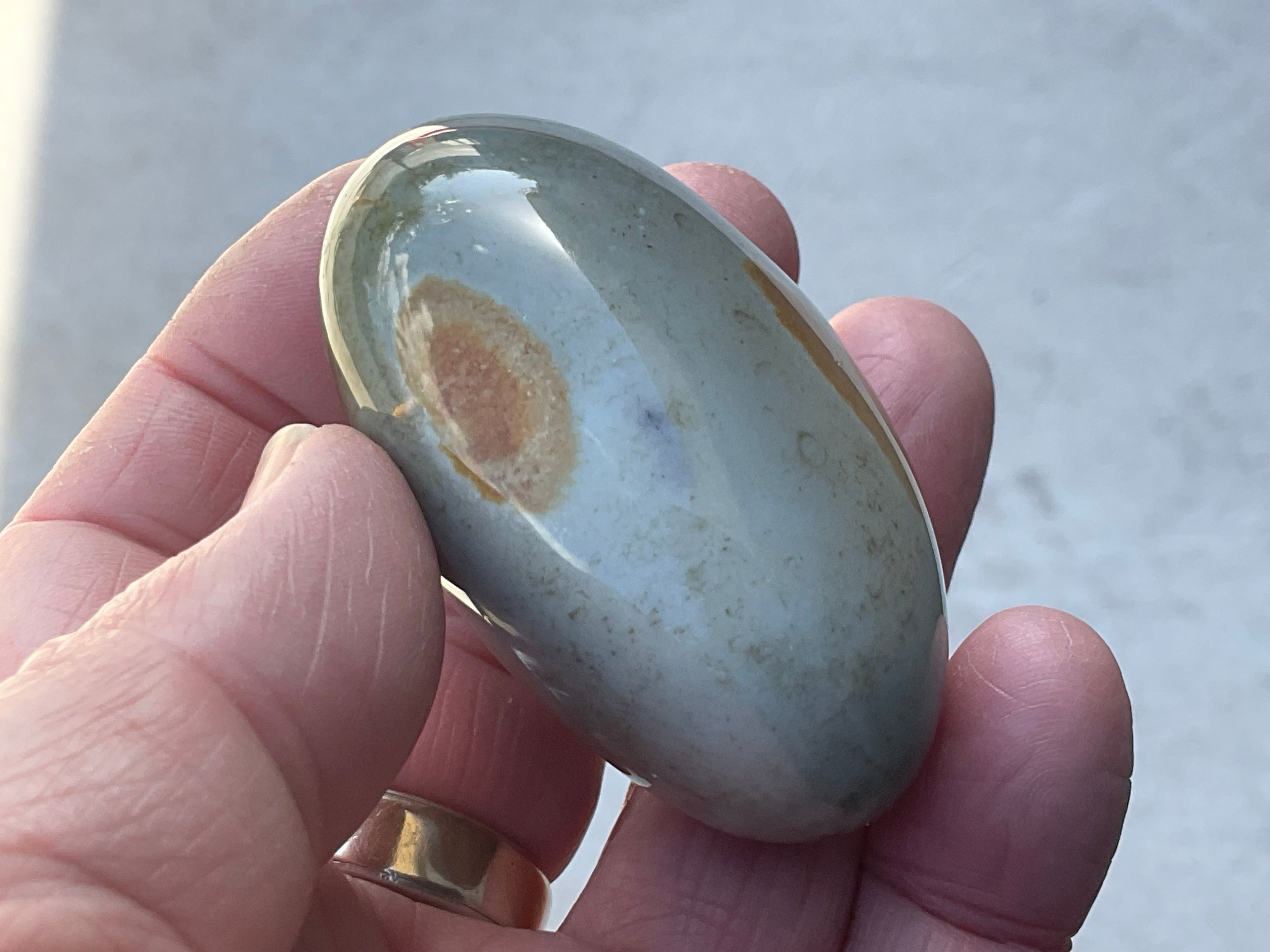 100g Polychrome Jasper Palmstone 6