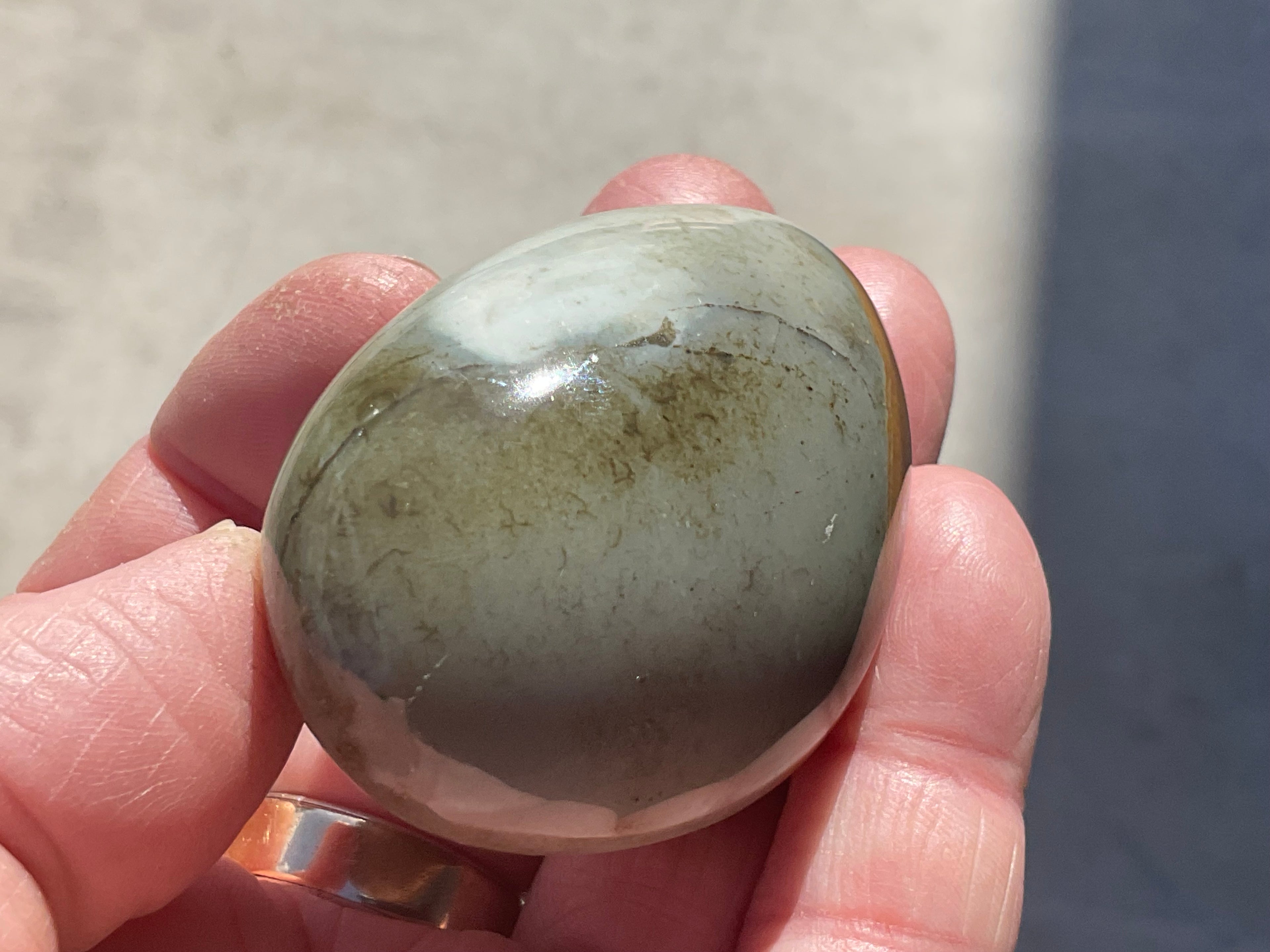 100g Polychrome Jasper Palmstone 6