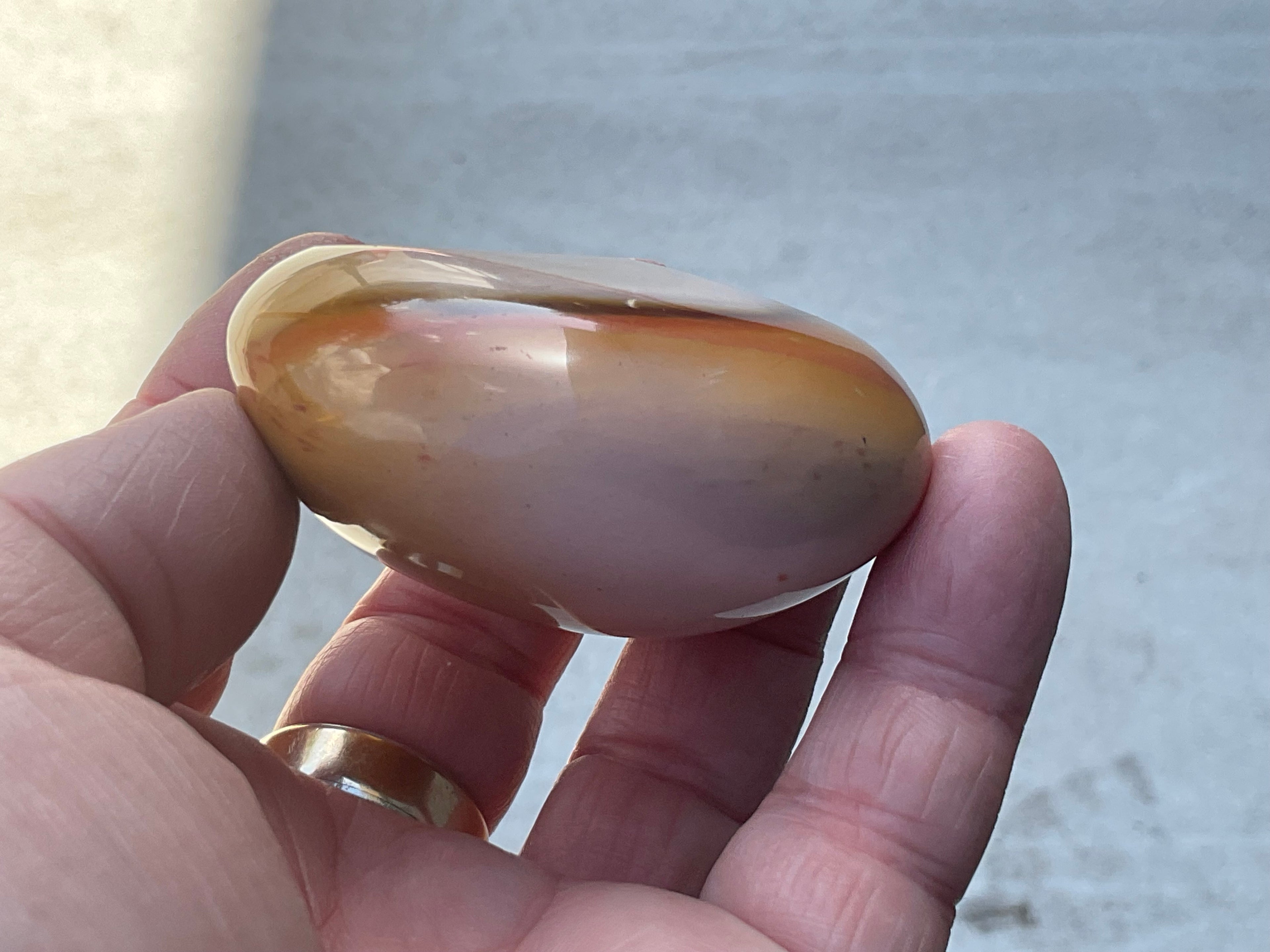 137g Polychrome Jasper Palmstone 4