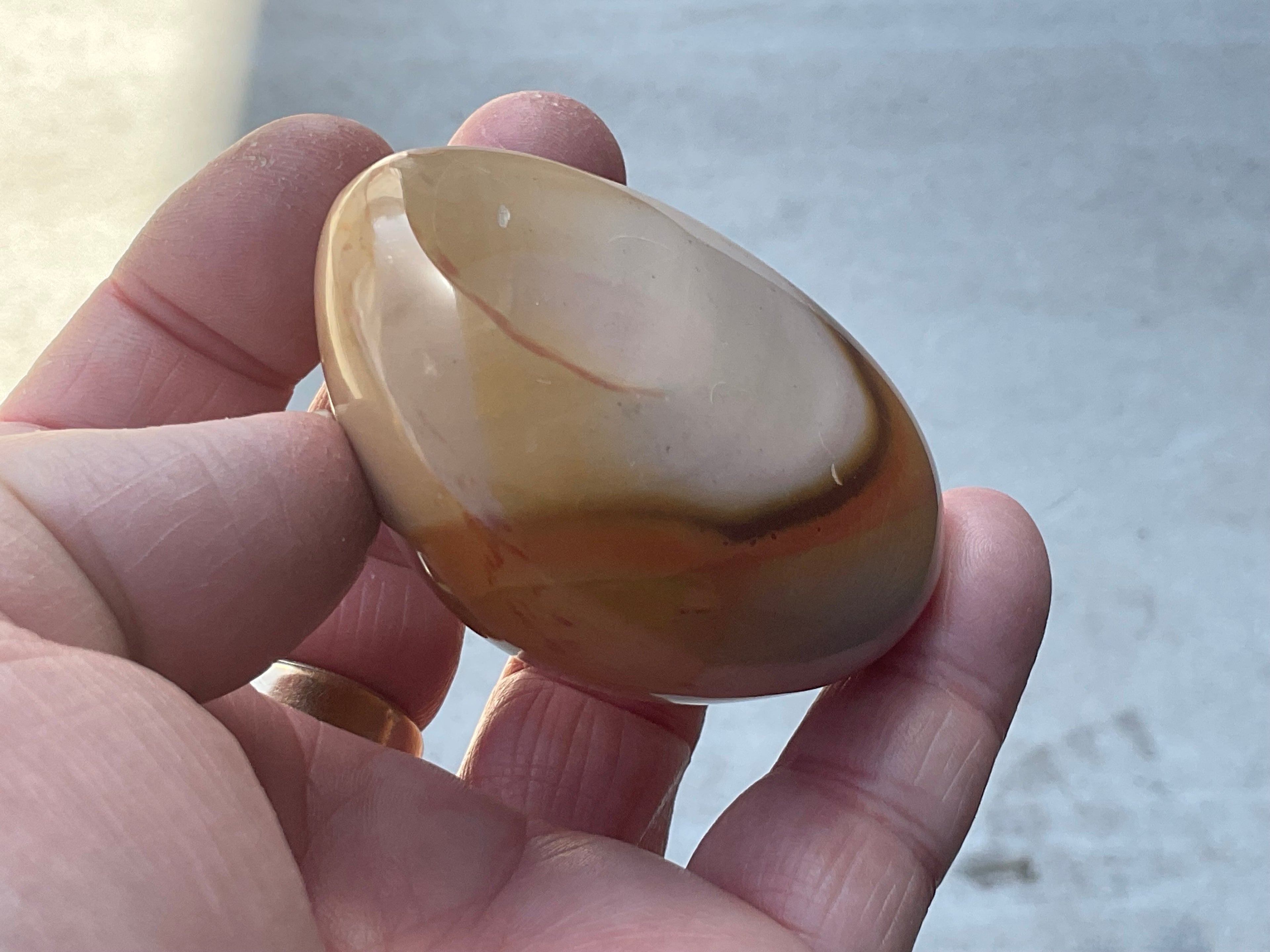 137g Polychrome Jasper Palmstone 4