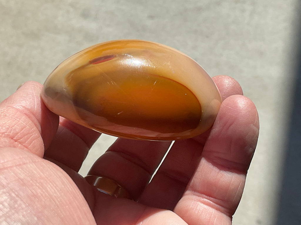 137g Polychrome Jasper Palmstone 4