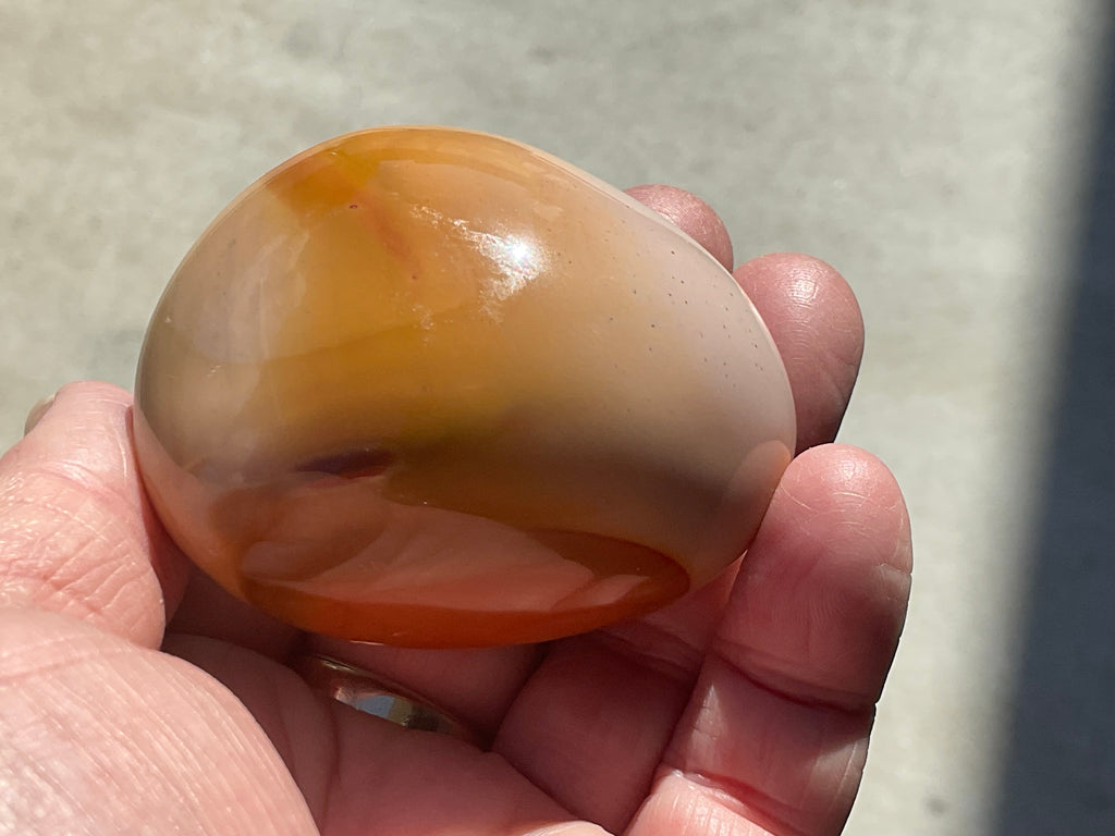 137g Polychrome Jasper Palmstone 4