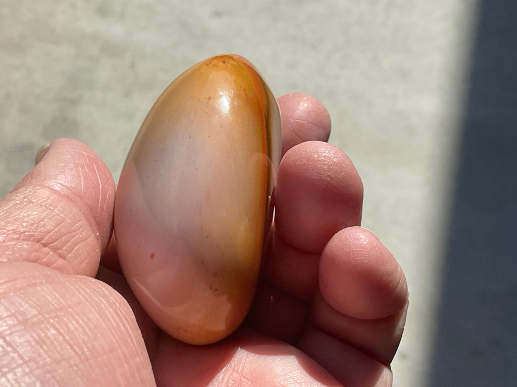 137g Polychrome Jasper Palmstone 4